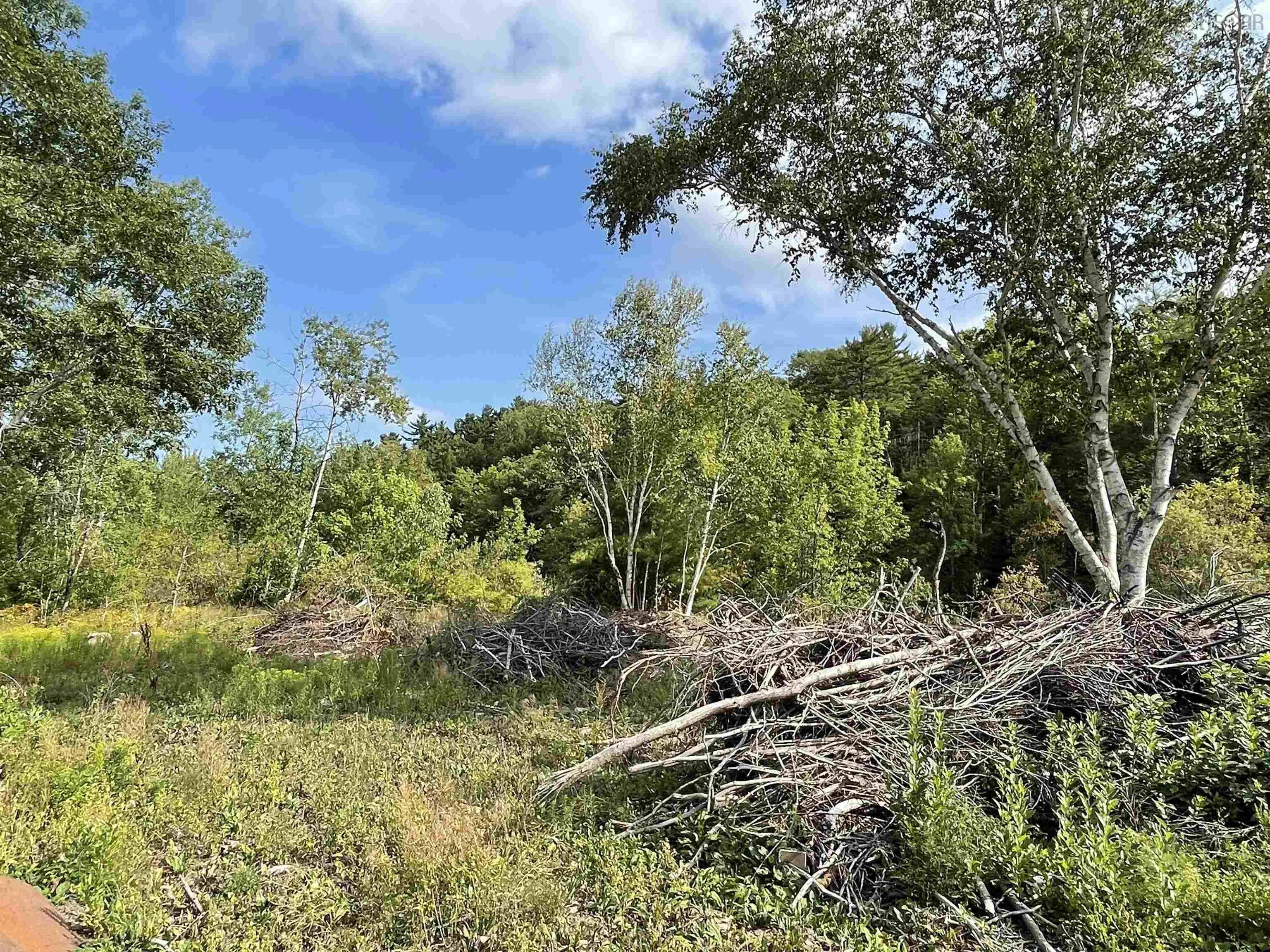 55 Zwicker Mill Road, New Germany, NS B0R 1E0, ,Land,For Sale,Zwicker Mill,202520626