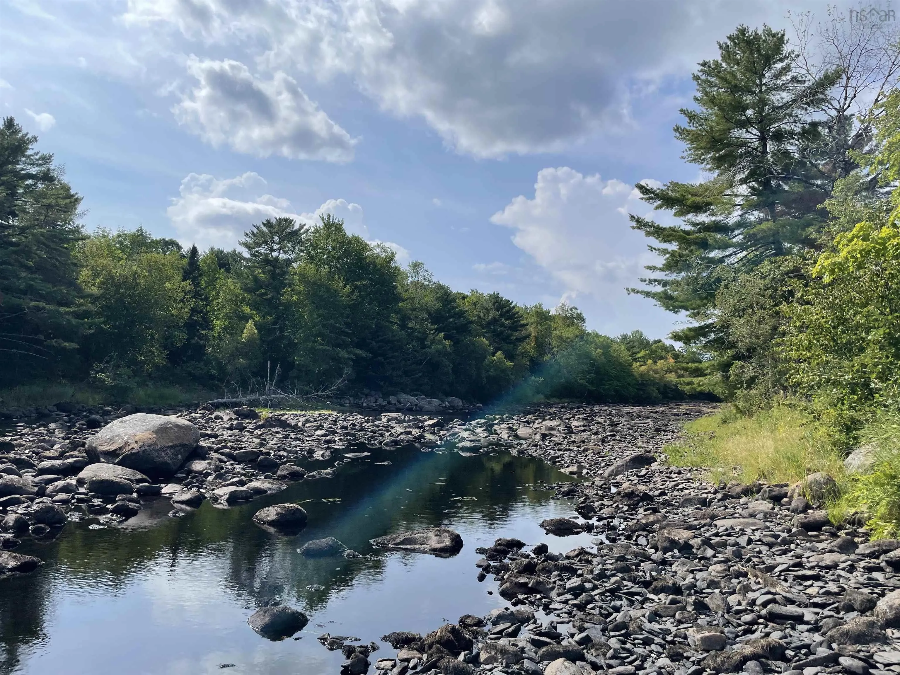 55 Zwicker Mill Road, New Germany, NS B0R 1E0, ,Land,For Sale,Zwicker Mill,202520626