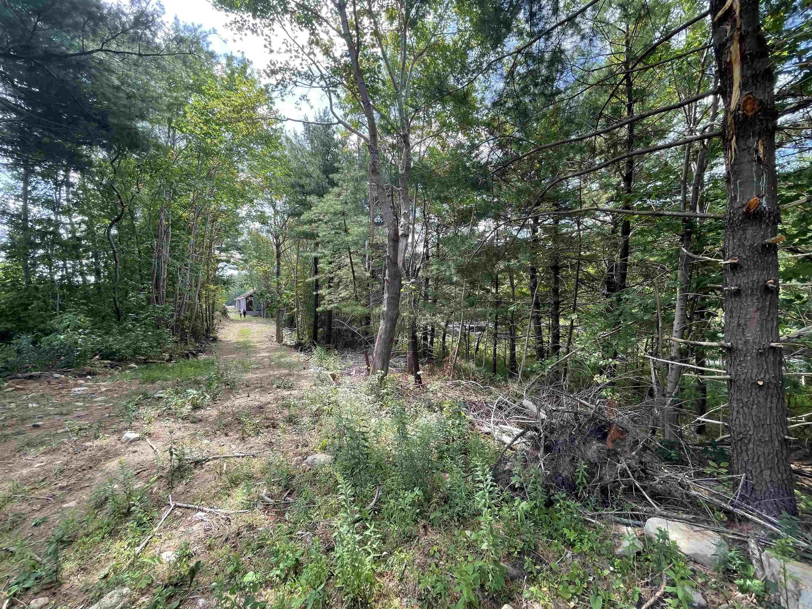 55 Zwicker Mill Road, New Germany, NS B0R 1E0, ,Land,For Sale,Zwicker Mill,202520626