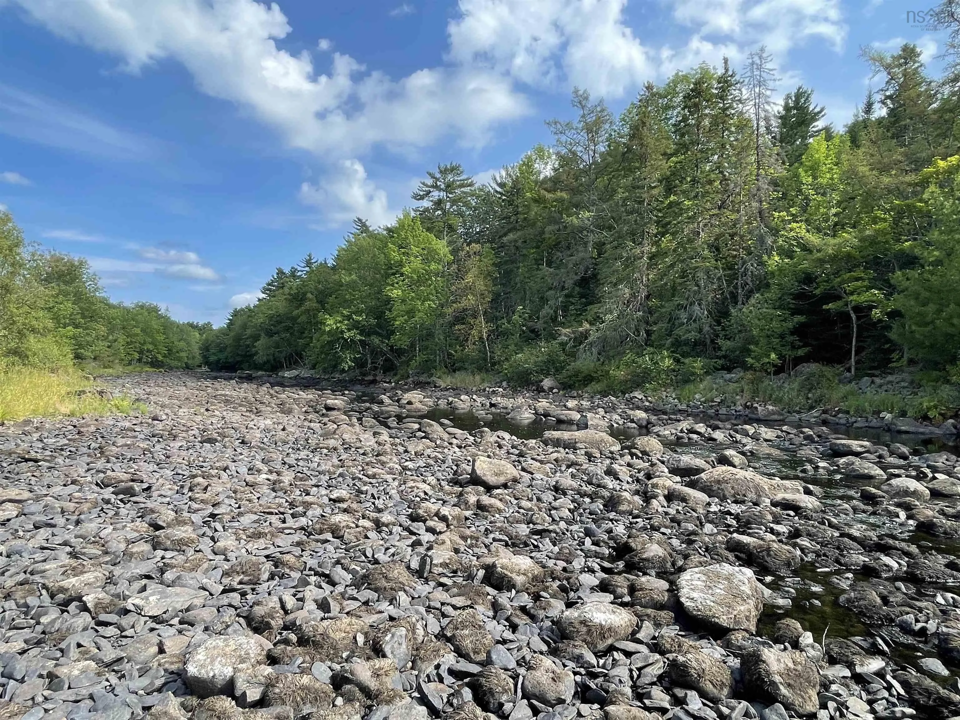 55 Zwicker Mill Road, New Germany, NS B0R 1E0, ,Land,For Sale,Zwicker Mill,202520626