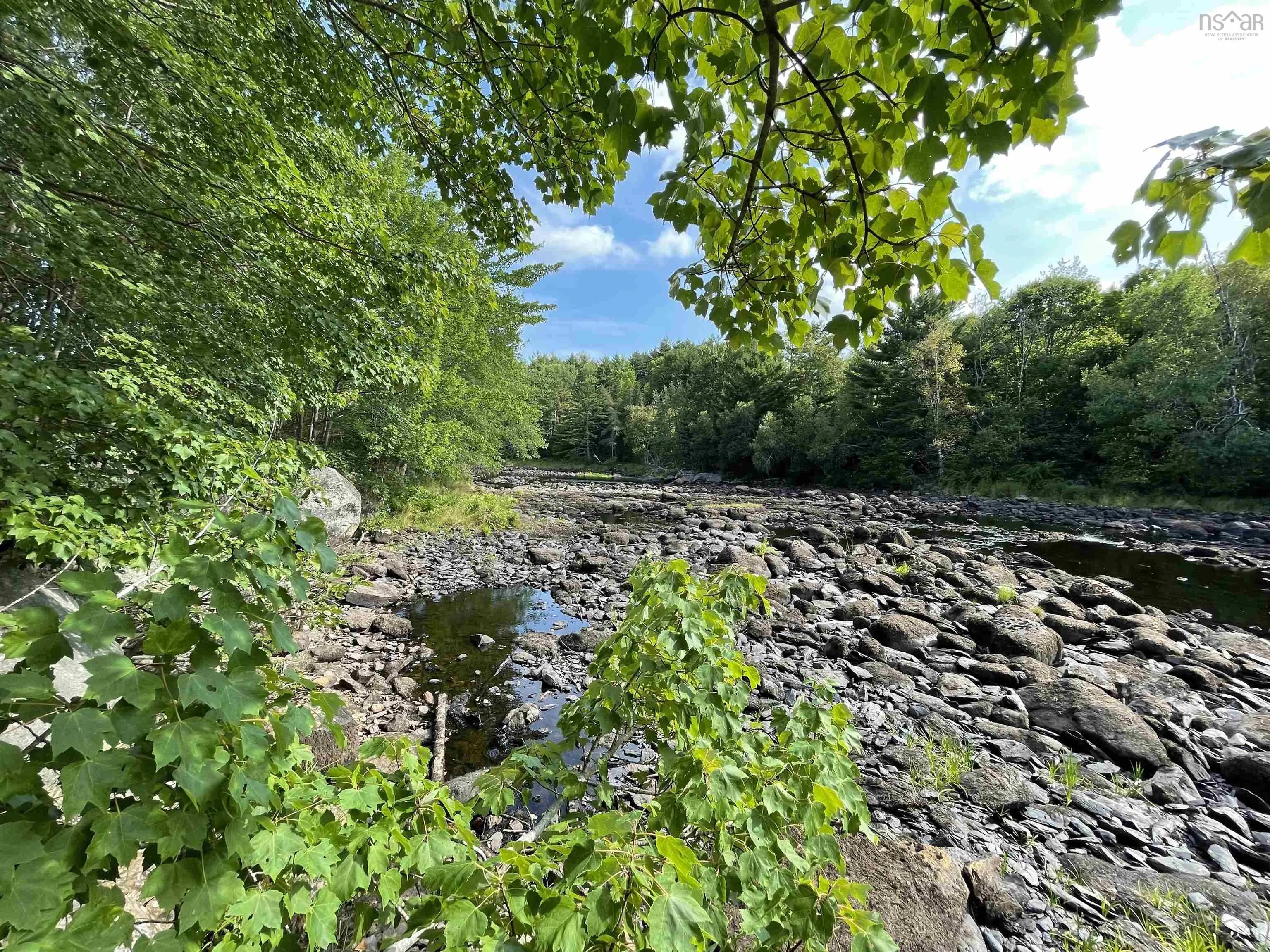 55 Zwicker Mill Road, New Germany, NS B0R 1E0, ,Land,For Sale,Zwicker Mill,202520626