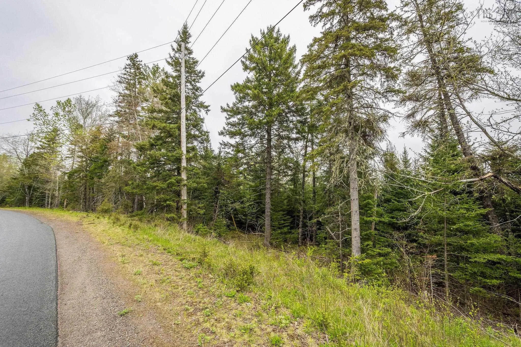 Coldstream Road Lot 18, West St Andrews, NS B0N 2J0, ,Land,For Sale,Coldstream,202513334