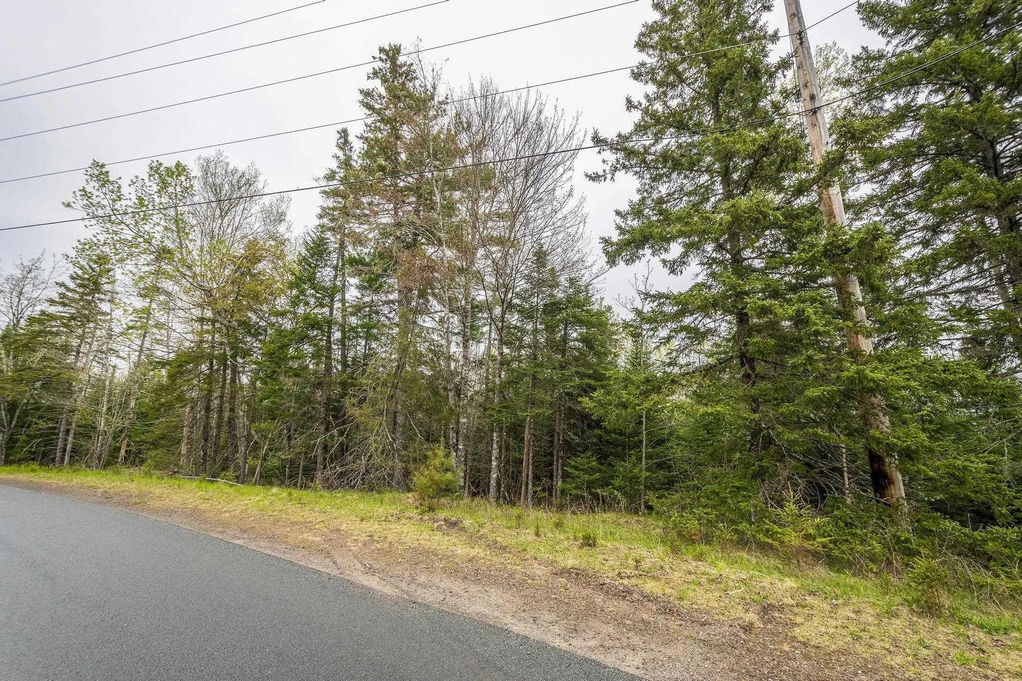 Coldstream Road Lot 18, West St Andrews, NS B0N 2J0, ,Land,For Sale,Coldstream,202513334