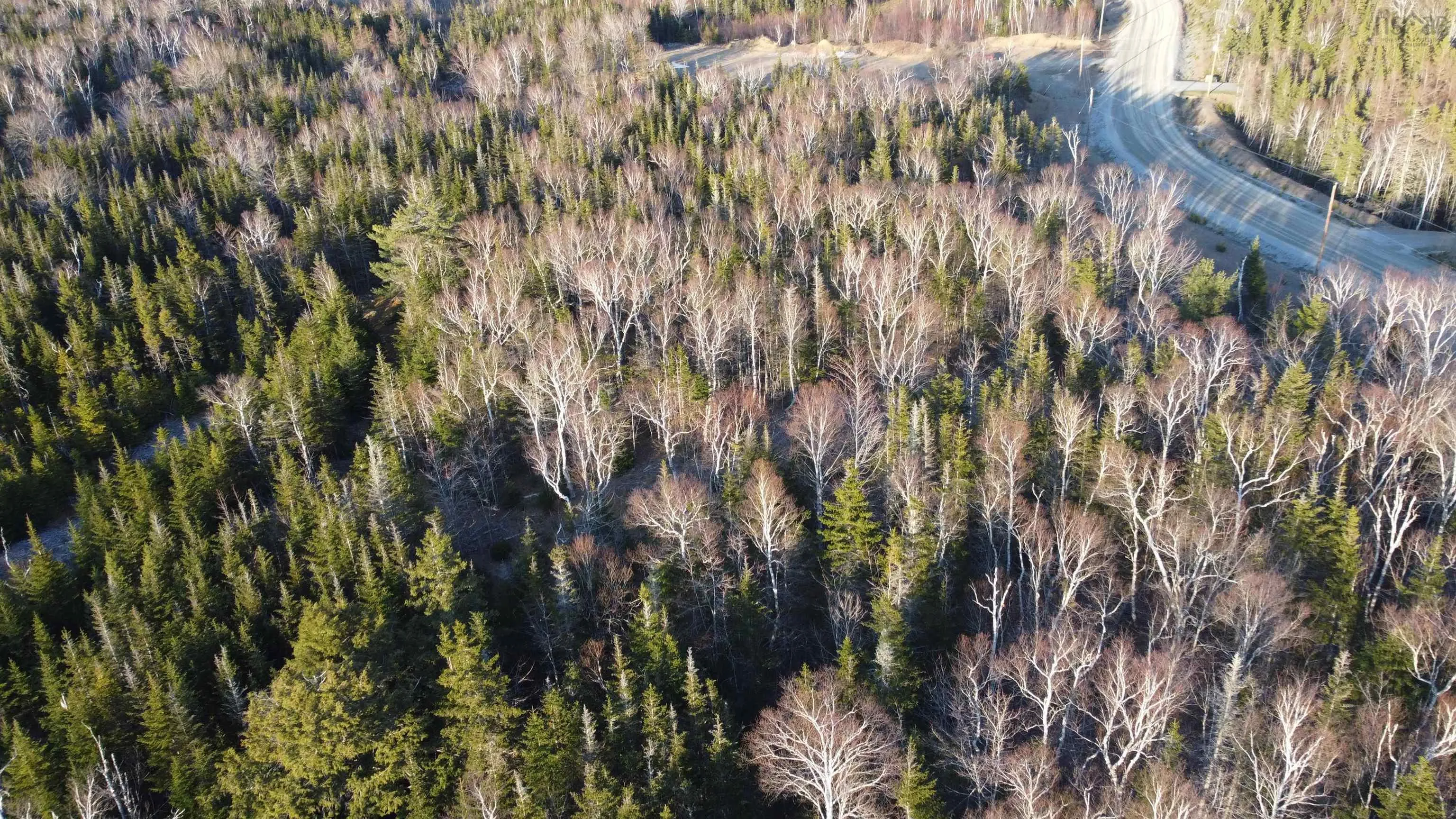 Shieling Drive Lot 23, Marion Bridge Ns B1k 0b3, ,Land,For Sale,Shieling,202425374