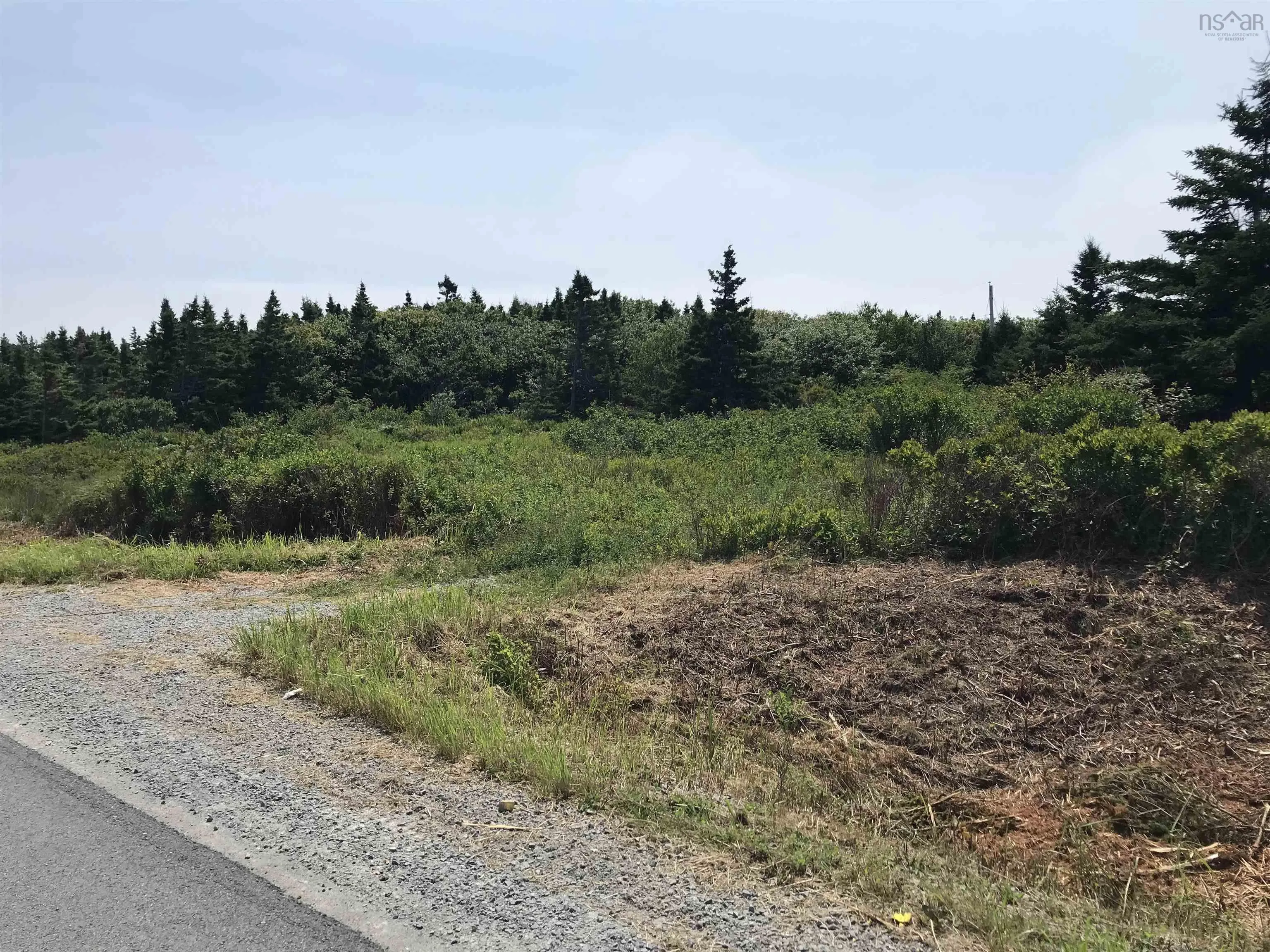 Pid70044557 Shore Road, Western Head Ns B0t 1k0, ,Land,For Sale,(Pid 70044557) Shore,202418250