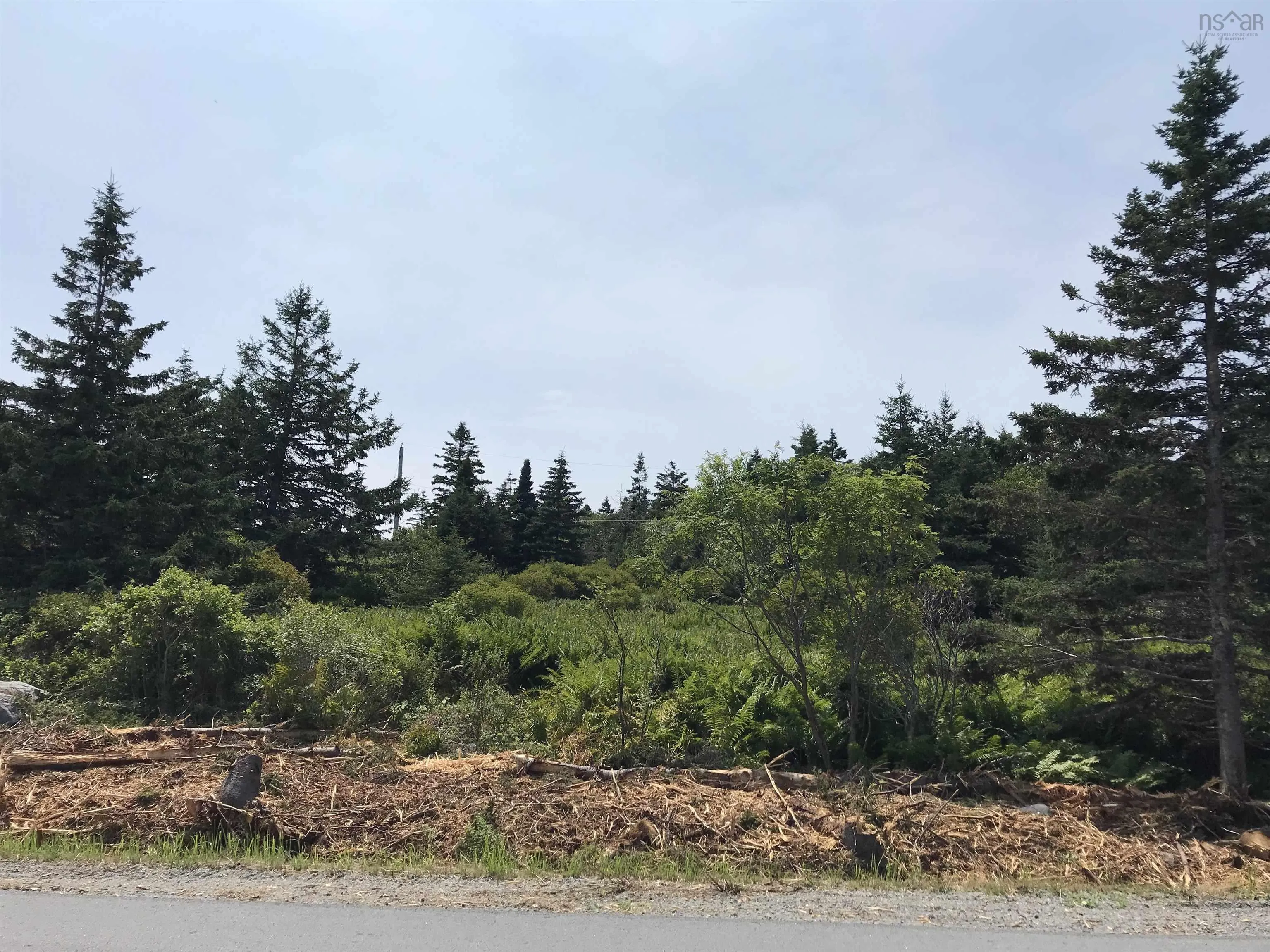 Pid70044557 Shore Road, Western Head Ns B0t 1k0, ,Land,For Sale,(Pid 70044557) Shore,202418250