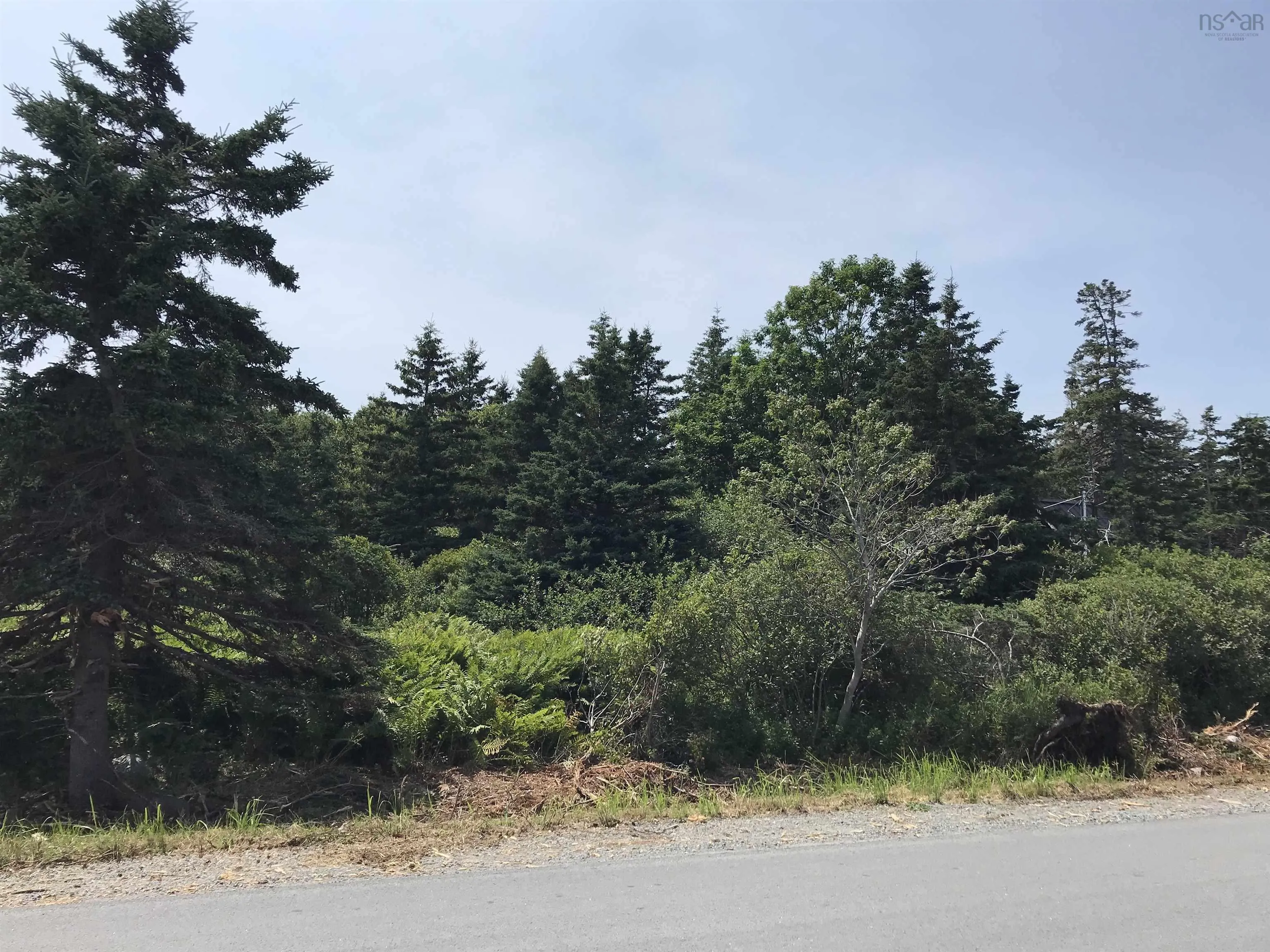Pid70044557 Shore Road, Western Head Ns B0t 1k0, ,Land,For Sale,(Pid 70044557) Shore,202418250