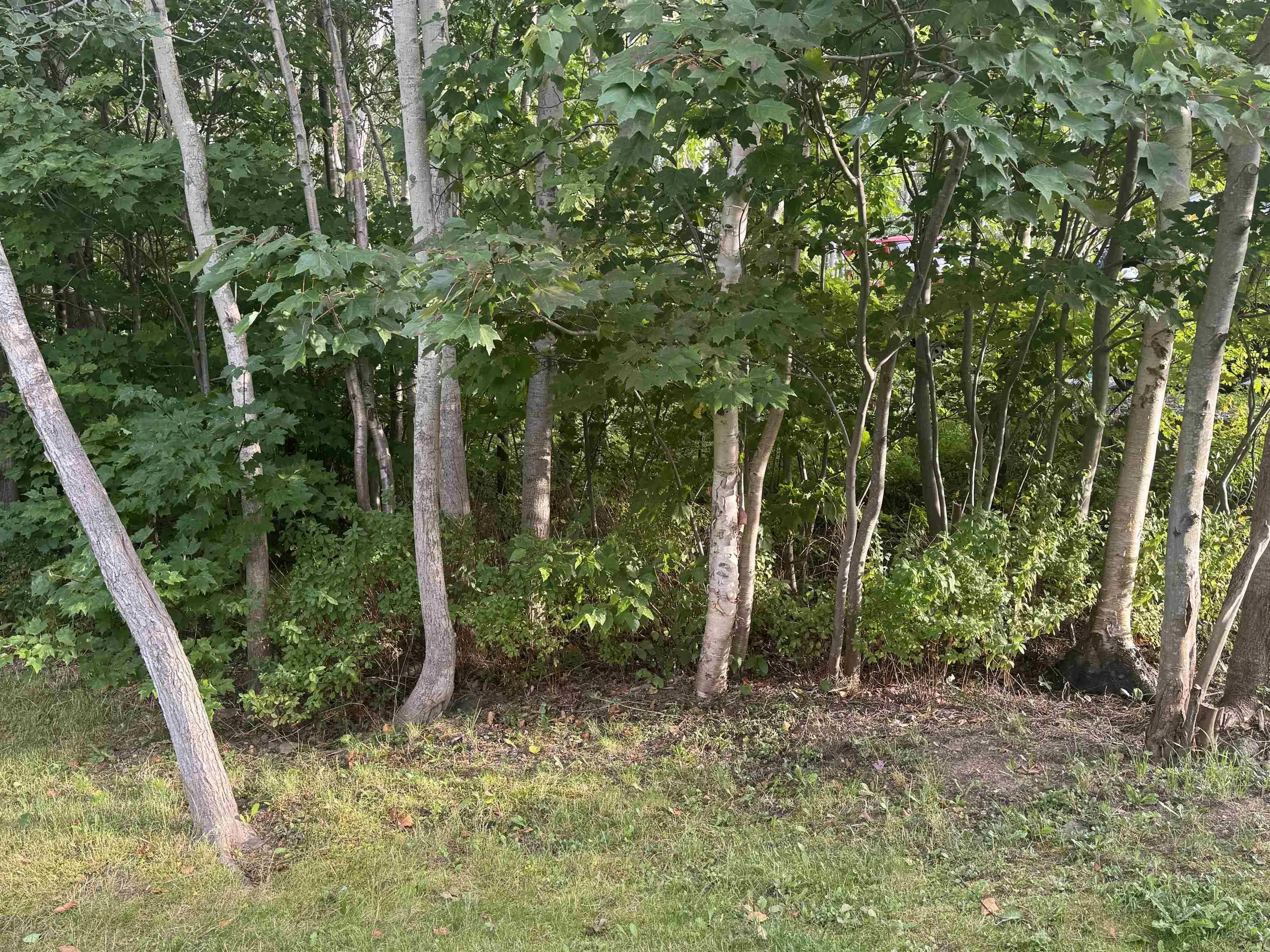 3 Robert Avenue, Sydney Mines, NS B1V 3J2, 3 Bedrooms Bedrooms, ,2 BathroomsBathrooms,Residential,For Sale,Robert,202522732