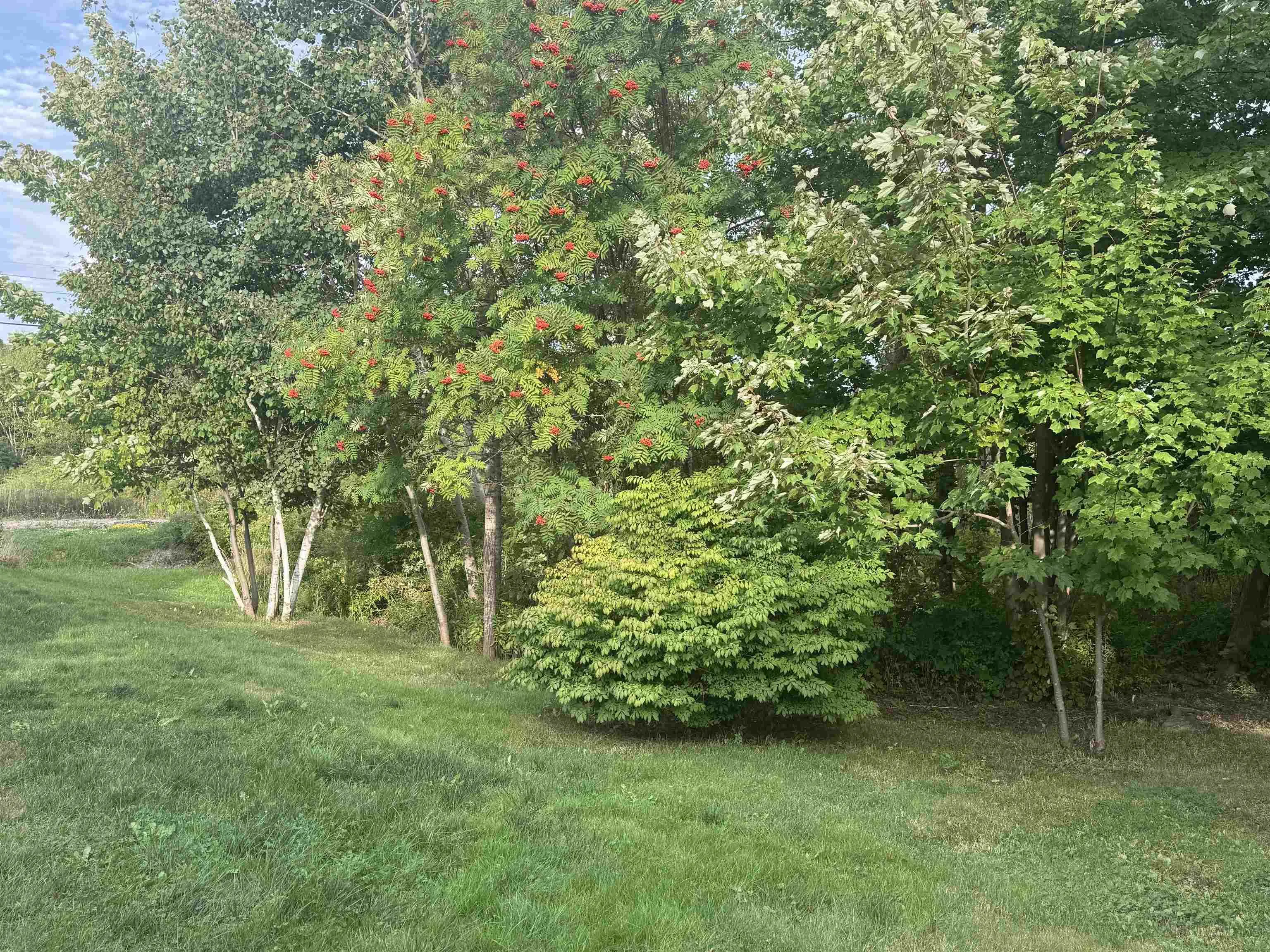 3 Robert Avenue, Sydney Mines, NS B1V 3J2, 3 Bedrooms Bedrooms, ,2 BathroomsBathrooms,Residential,For Sale,Robert,202522732