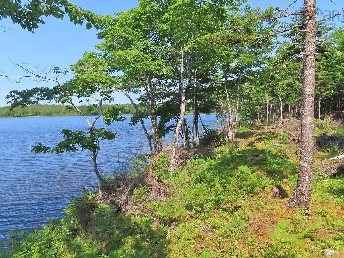Lot 7 Theresa, Third Lake Lane, Grande Anse Ns B0e 1v0, ,Land,For Sale,Theresa, Third Lake,202416042