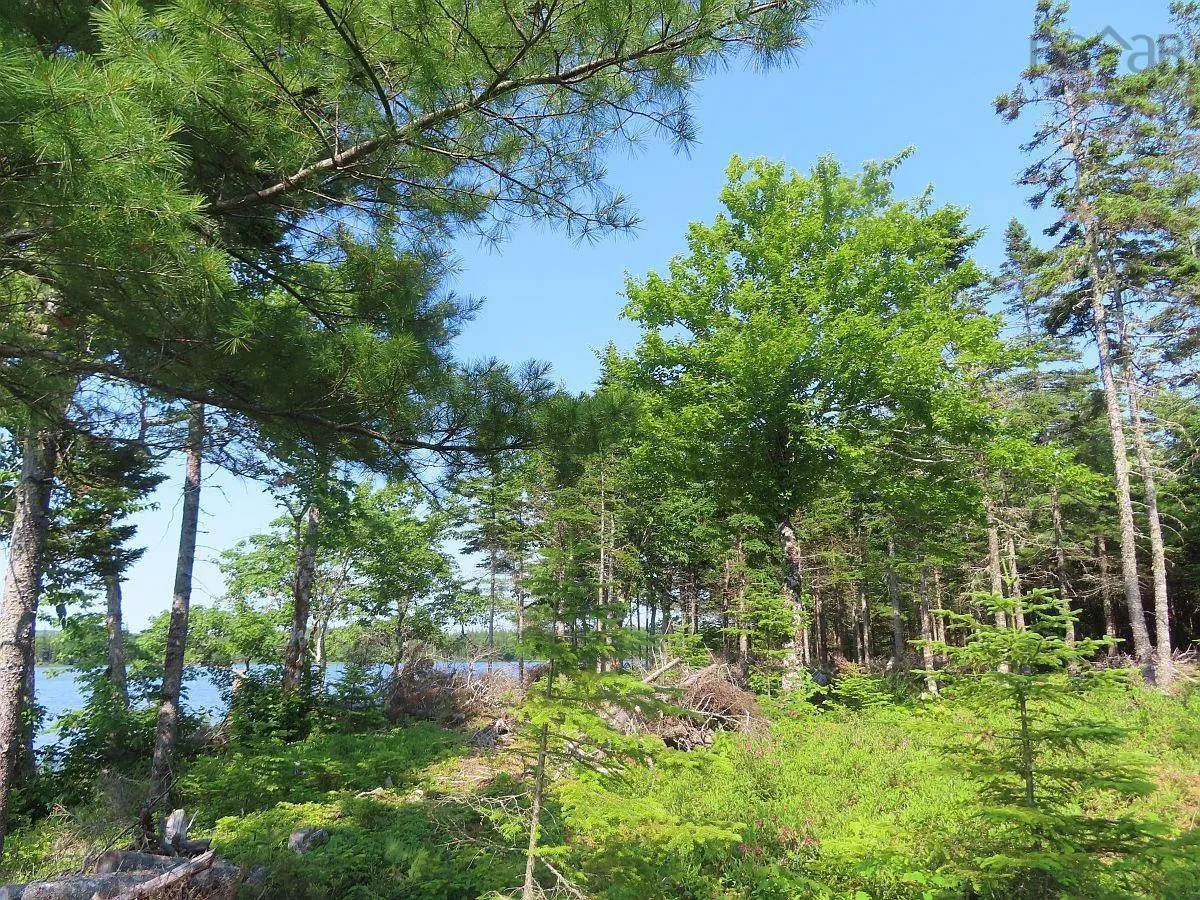 Lot 7 Theresa, Third Lake Lane, Grande Anse Ns B0e 1v0, ,Land,For Sale,Theresa, Third Lake,202416042