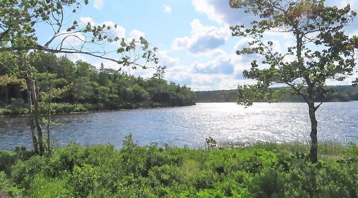 Lot 7 Theresa, Third Lake Lane, Grande Anse Ns B0e 1v0, ,Land,For Sale,Theresa, Third Lake,202416042