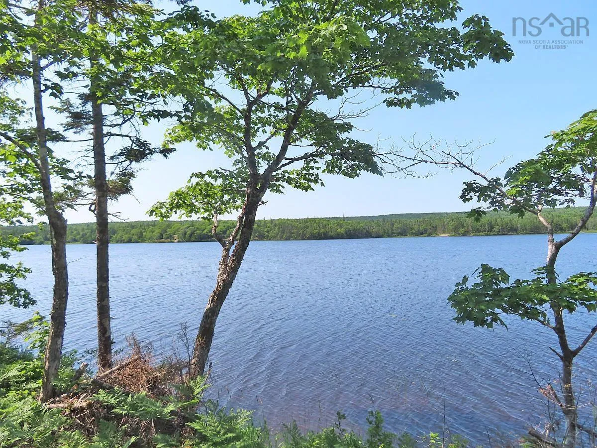 Lot 7 Theresa, Third Lake Lane, Grande Anse Ns B0e 1v0, ,Land,For Sale,Theresa, Third Lake,202416042