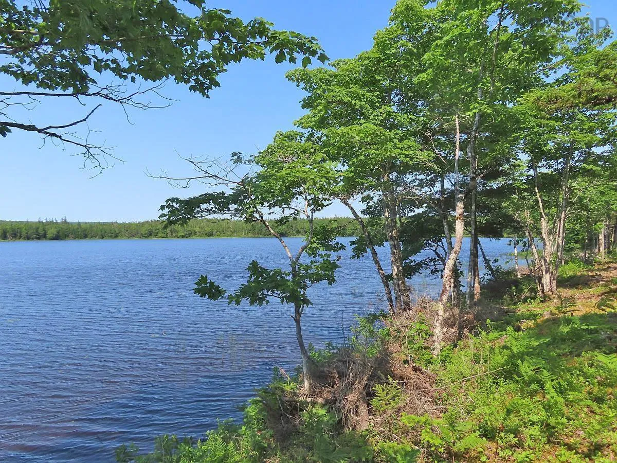 Lot 7 Theresa, Third Lake Lane, Grande Anse Ns B0e 1v0, ,Land,For Sale,Theresa, Third Lake,202416042