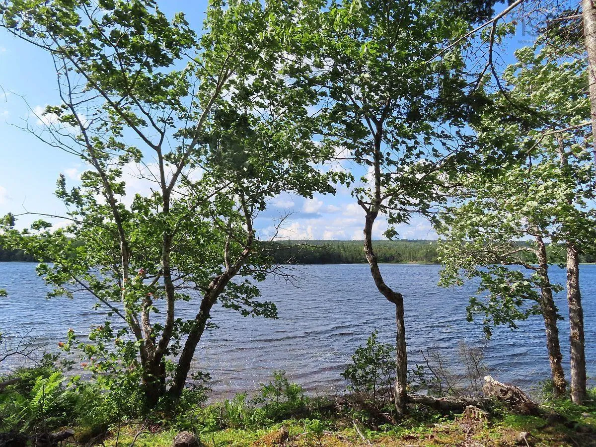 Lot 7 Theresa, Third Lake Lane, Grande Anse Ns B0e 1v0, ,Land,For Sale,Theresa, Third Lake,202416042