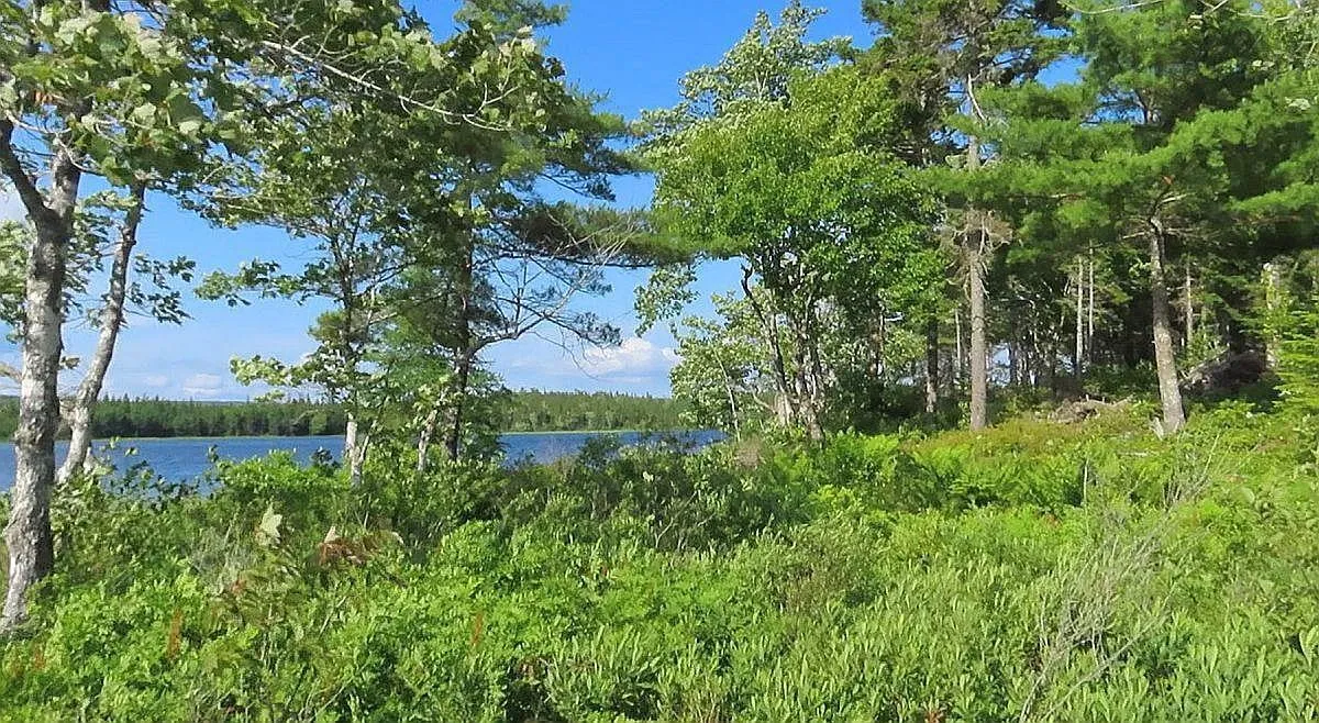 Lot 7 Theresa, Third Lake Lane, Grande Anse Ns B0e 1v0, ,Land,For Sale,Theresa, Third Lake,202416042