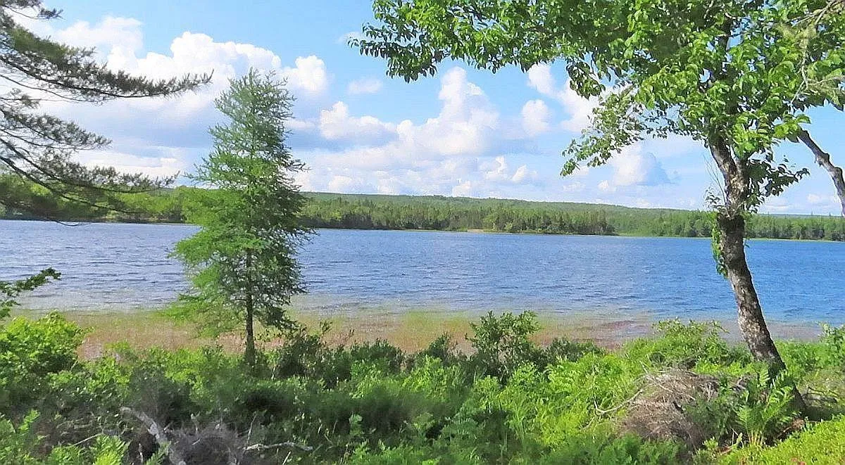 Lot 7 Theresa, Third Lake Lane, Grande Anse Ns B0e 1v0, ,Land,For Sale,Theresa, Third Lake,202416042