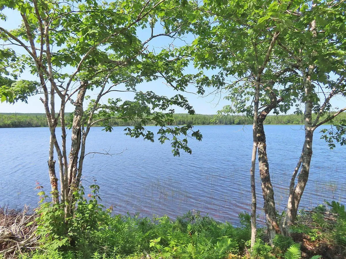 Lot 7 Theresa, Third Lake Lane, Grande Anse Ns B0e 1v0, ,Land,For Sale,Theresa, Third Lake,202416042
