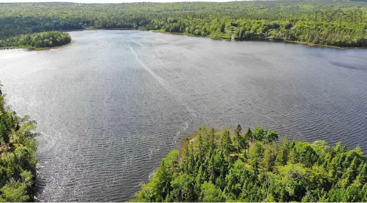 Lot 7 Theresa, Third Lake Lane, Grande Anse Ns B0e 1v0, ,Land,For Sale,Theresa, Third Lake,202416042