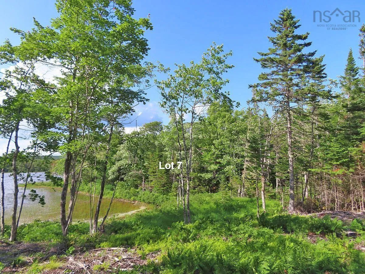 Lot 7 Theresa, Third Lake Lane, Grande Anse Ns B0e 1v0, ,Land,For Sale,Theresa, Third Lake,202416042