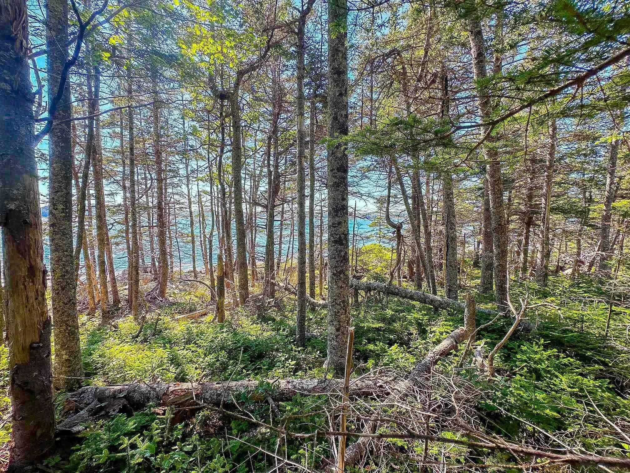 Stewarts Point Road Lot 3, East Port Lhebert, NS B0T 1S0, ,Land,For Sale,Stewarts Point,202522888