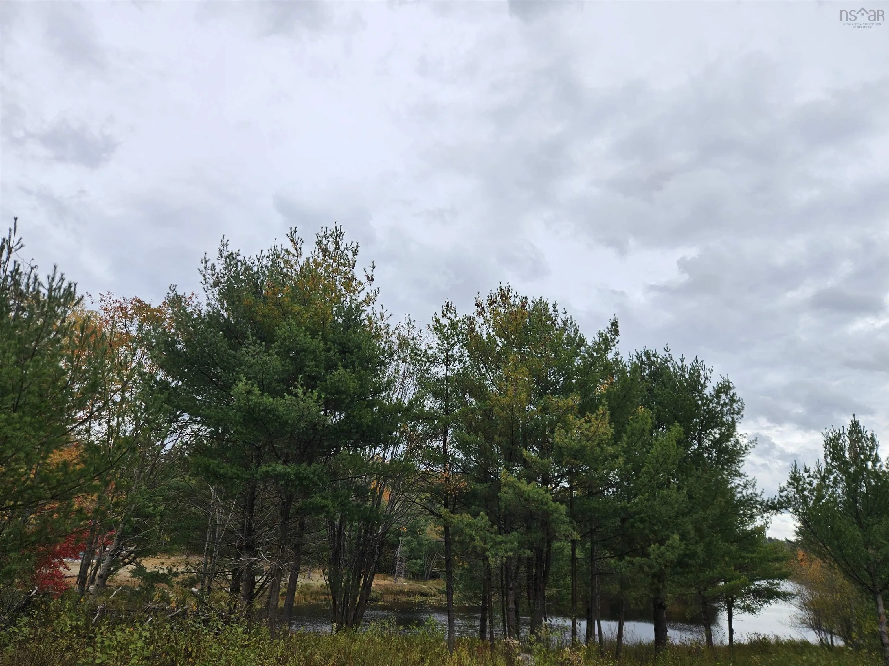 Pid#70266457 Highway 8, Caledonia, NS B0T 1B0, ,Land,For Sale,(Pid 70266457) Highway 8,202525495