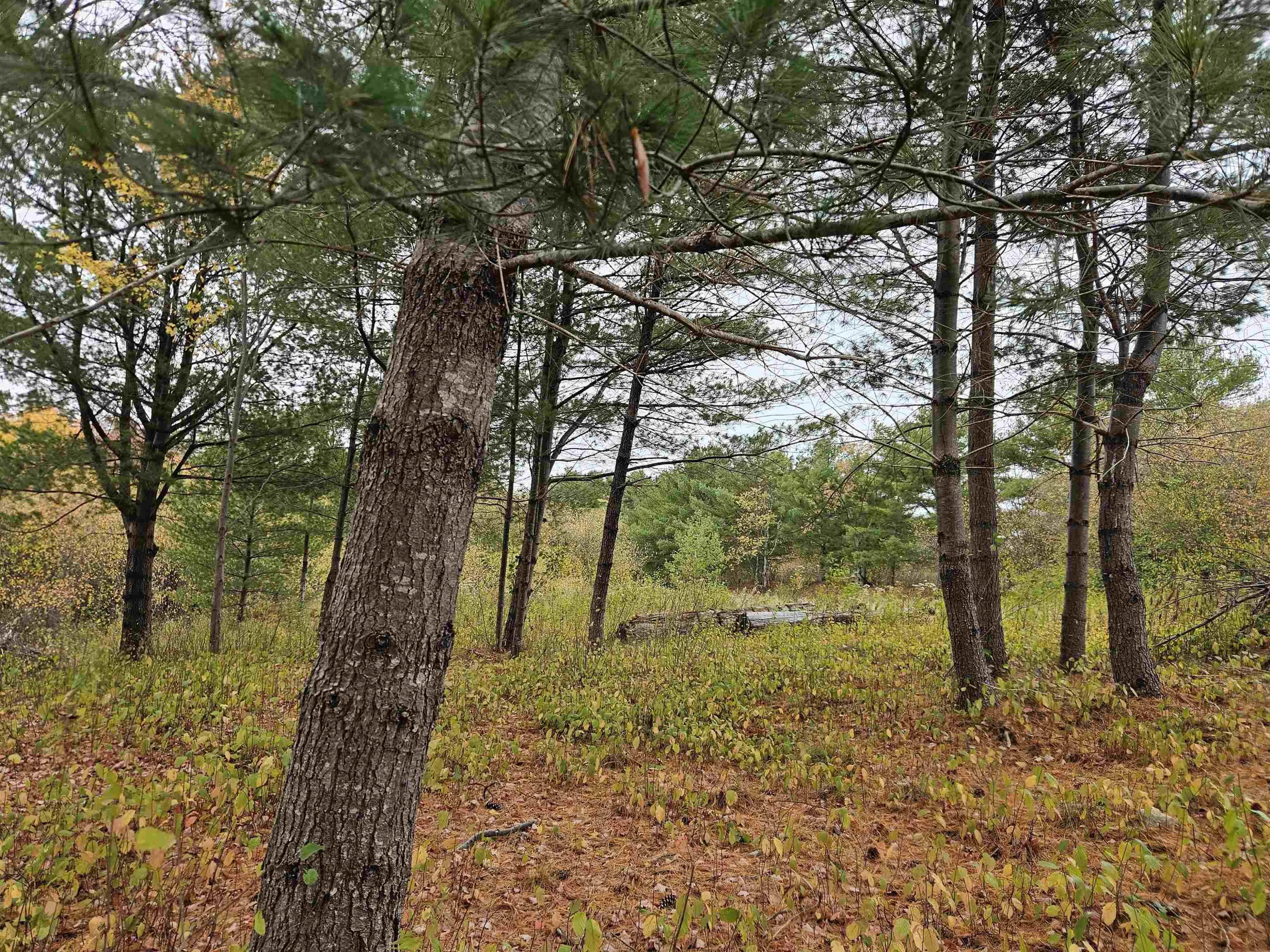 Pid#70266457 Highway 8, Caledonia, NS B0T 1B0, ,Land,For Sale,(Pid 70266457) Highway 8,202525495