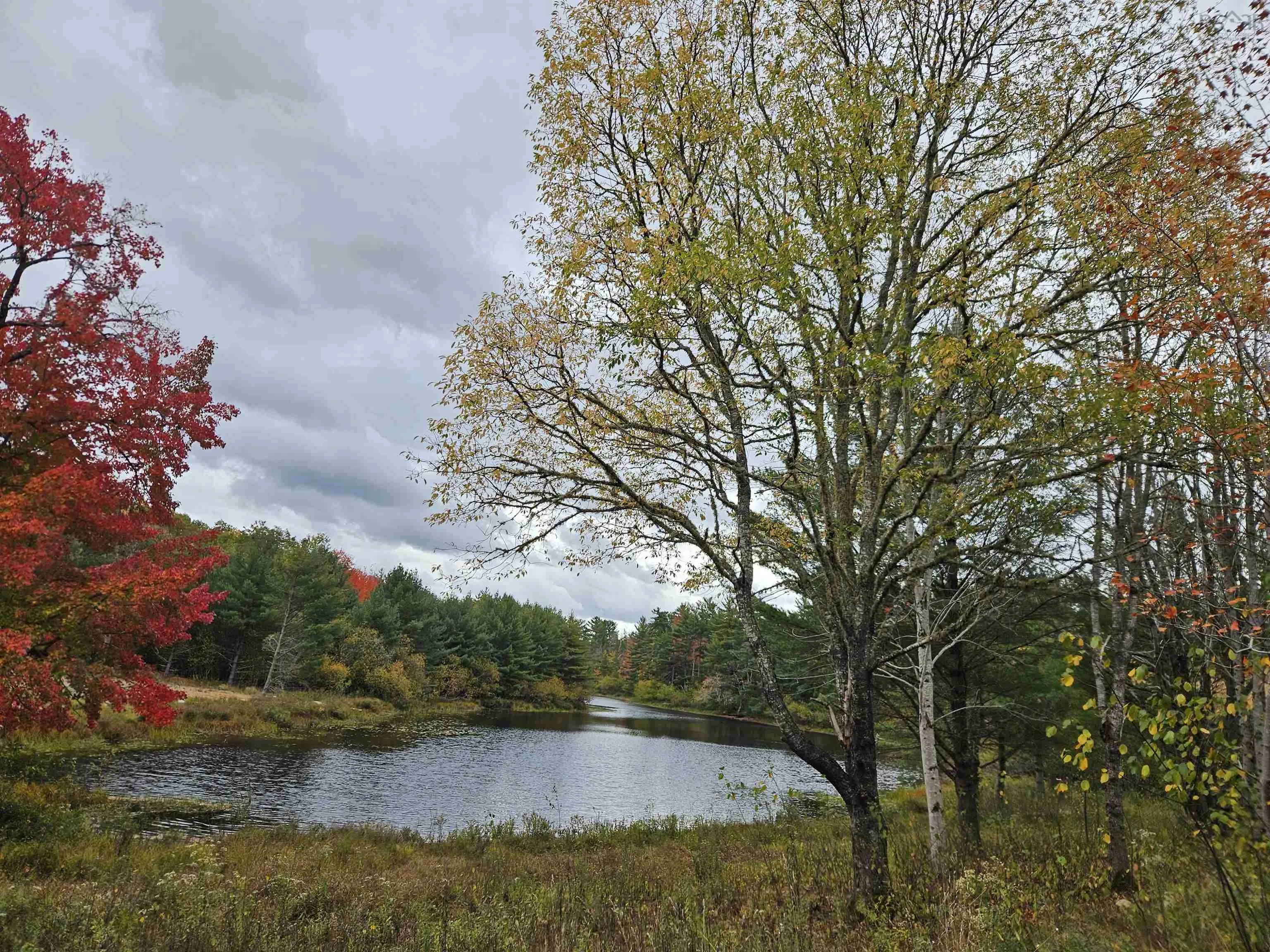 Pid#70266457 Highway 8, Caledonia, NS B0T 1B0, ,Land,For Sale,(Pid 70266457) Highway 8,202525495