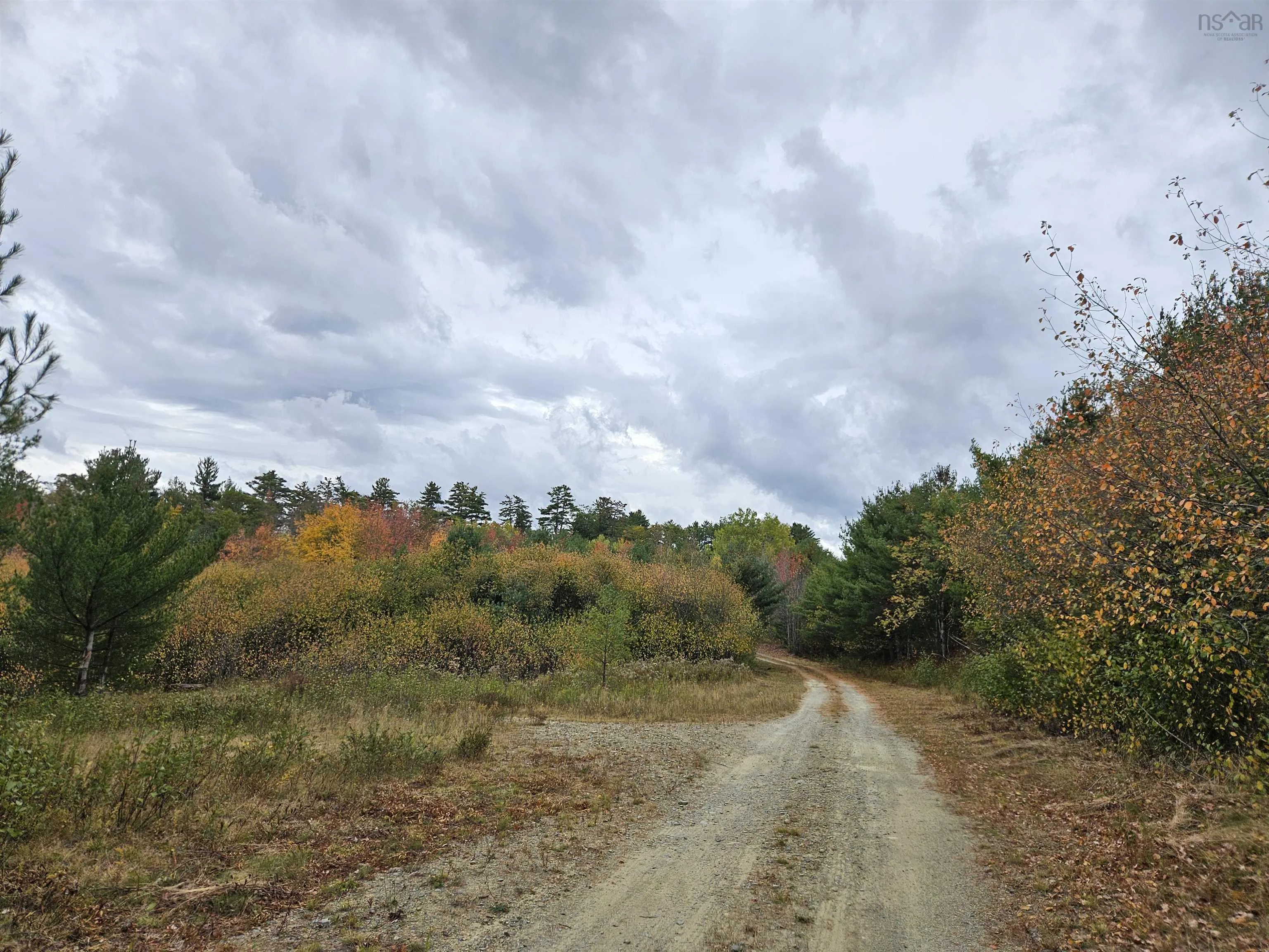 Pid#70266457 Highway 8, Caledonia, NS B0T 1B0, ,Land,For Sale,(Pid 70266457) Highway 8,202525495