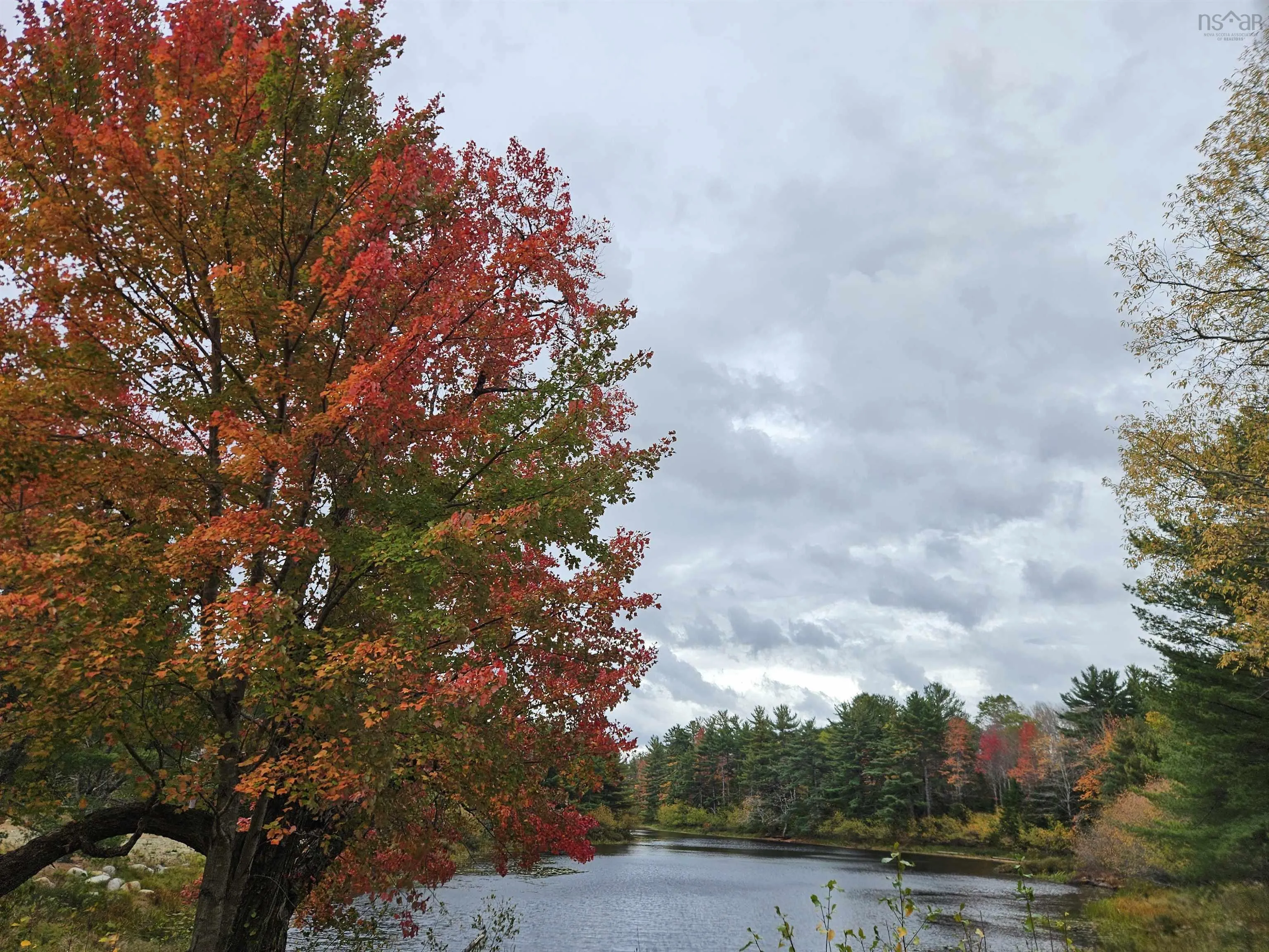 Pid#70266457 Highway 8, Caledonia, NS B0T 1B0, ,Land,For Sale,(Pid 70266457) Highway 8,202525495