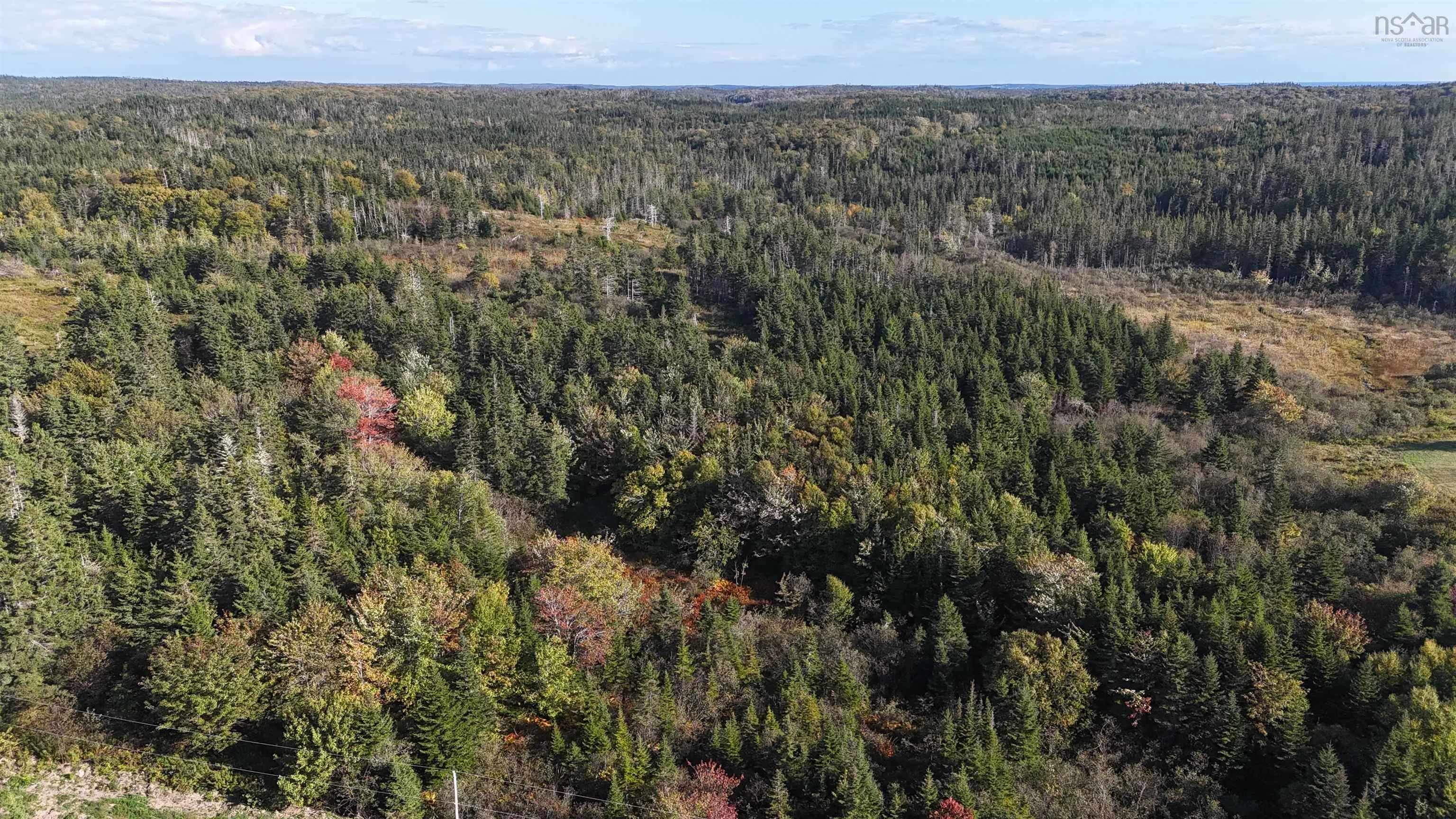Lynches River Road, St. Peters, NS B0E 3B0, ,Land,For Sale,Lynches River,202518862