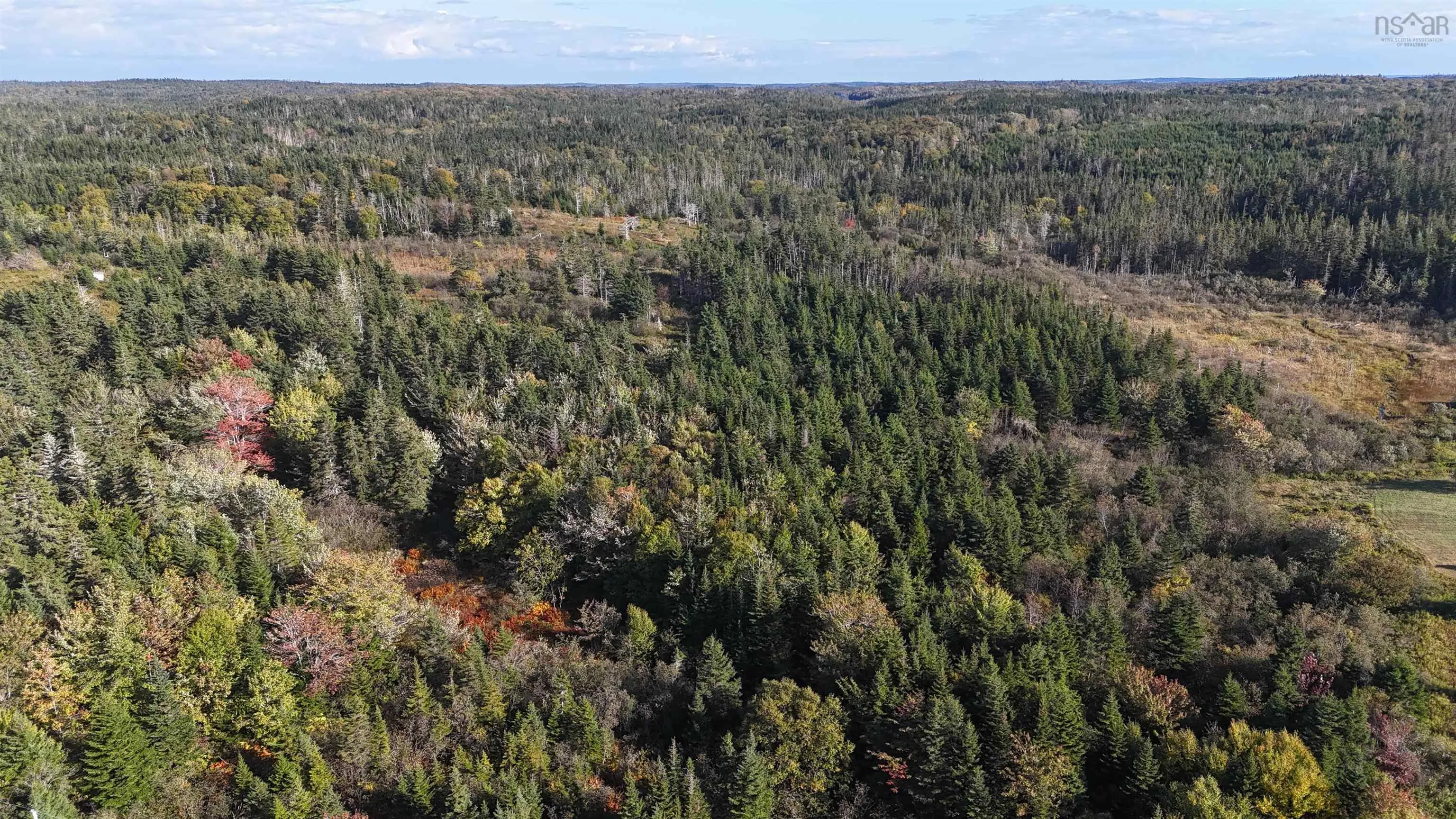 Lynches River Road, St. Peters, NS B0E 3B0, ,Land,For Sale,Lynches River,202518862