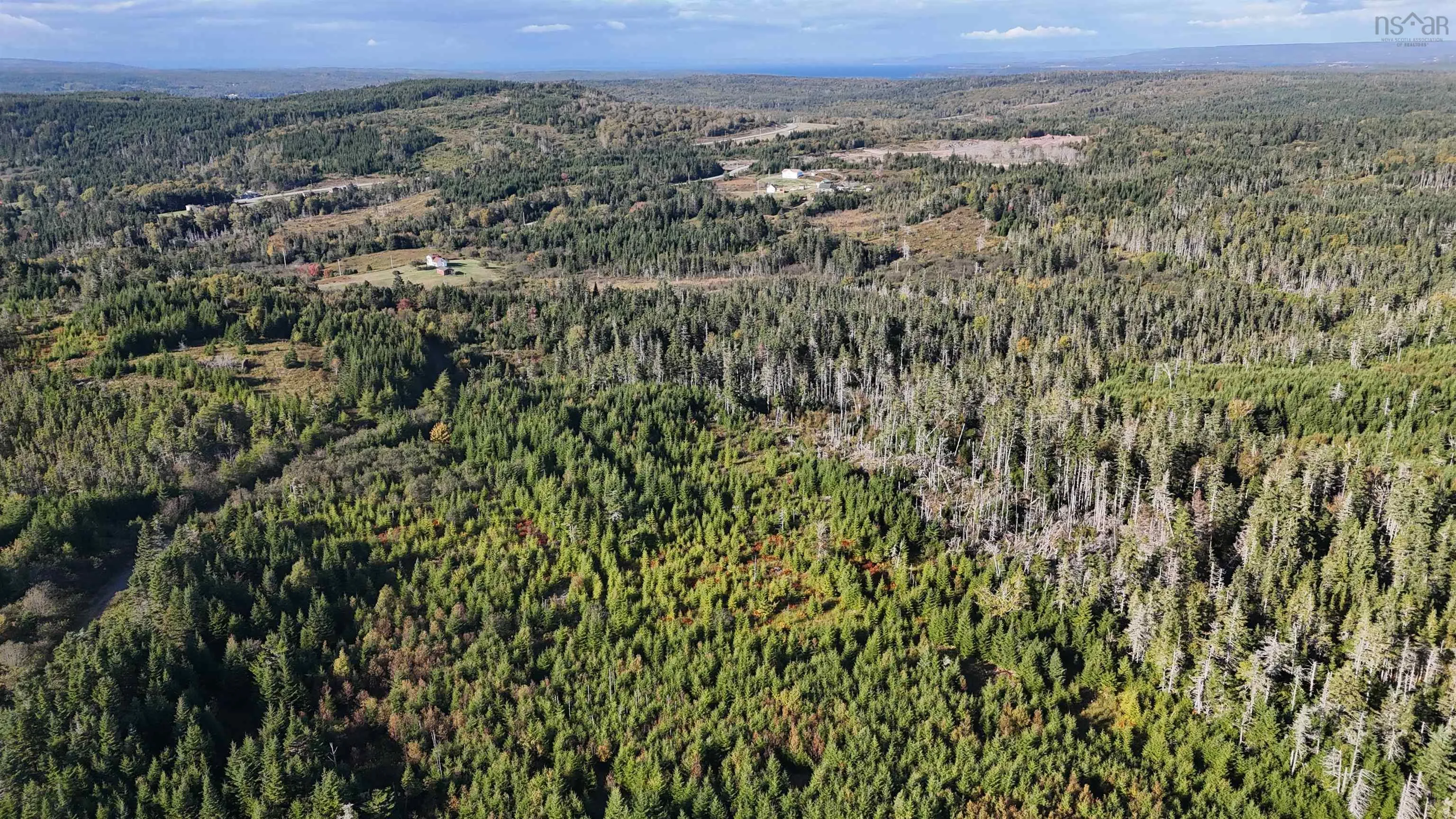 Lynches River Road, St. Peters, NS B0E 3B0, ,Land,For Sale,Lynches River,202518862