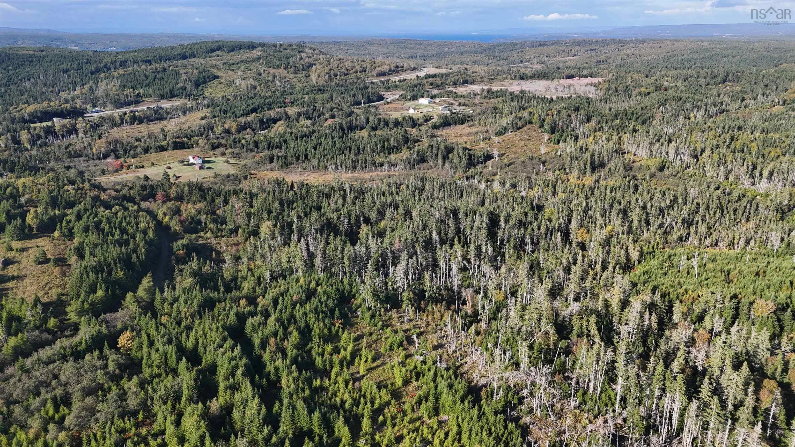 Lynches River Road, St. Peters, NS B0E 3B0, ,Land,For Sale,Lynches River,202518862