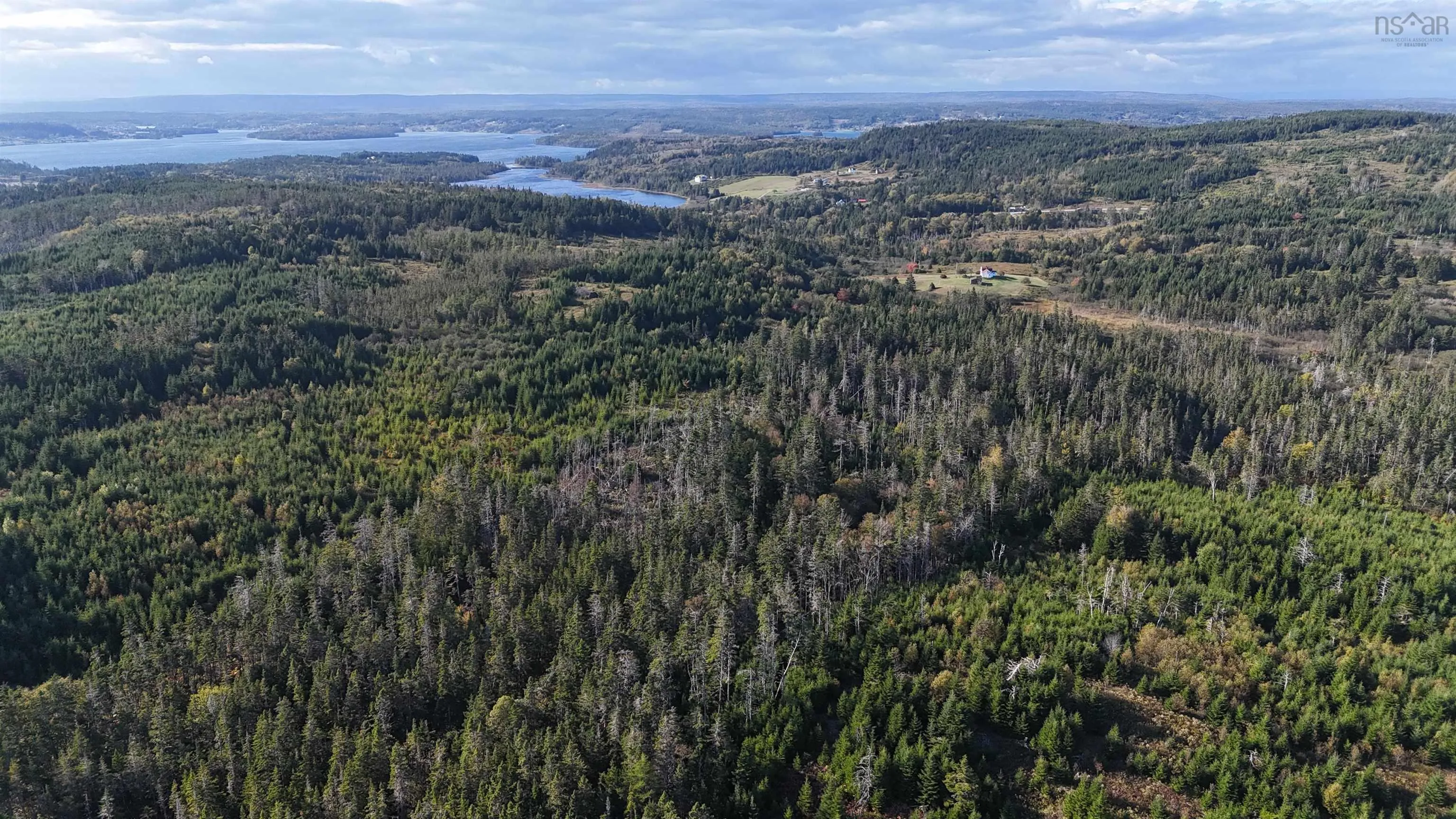 Lynches River Road, St. Peters, NS B0E 3B0, ,Land,For Sale,Lynches River,202518862