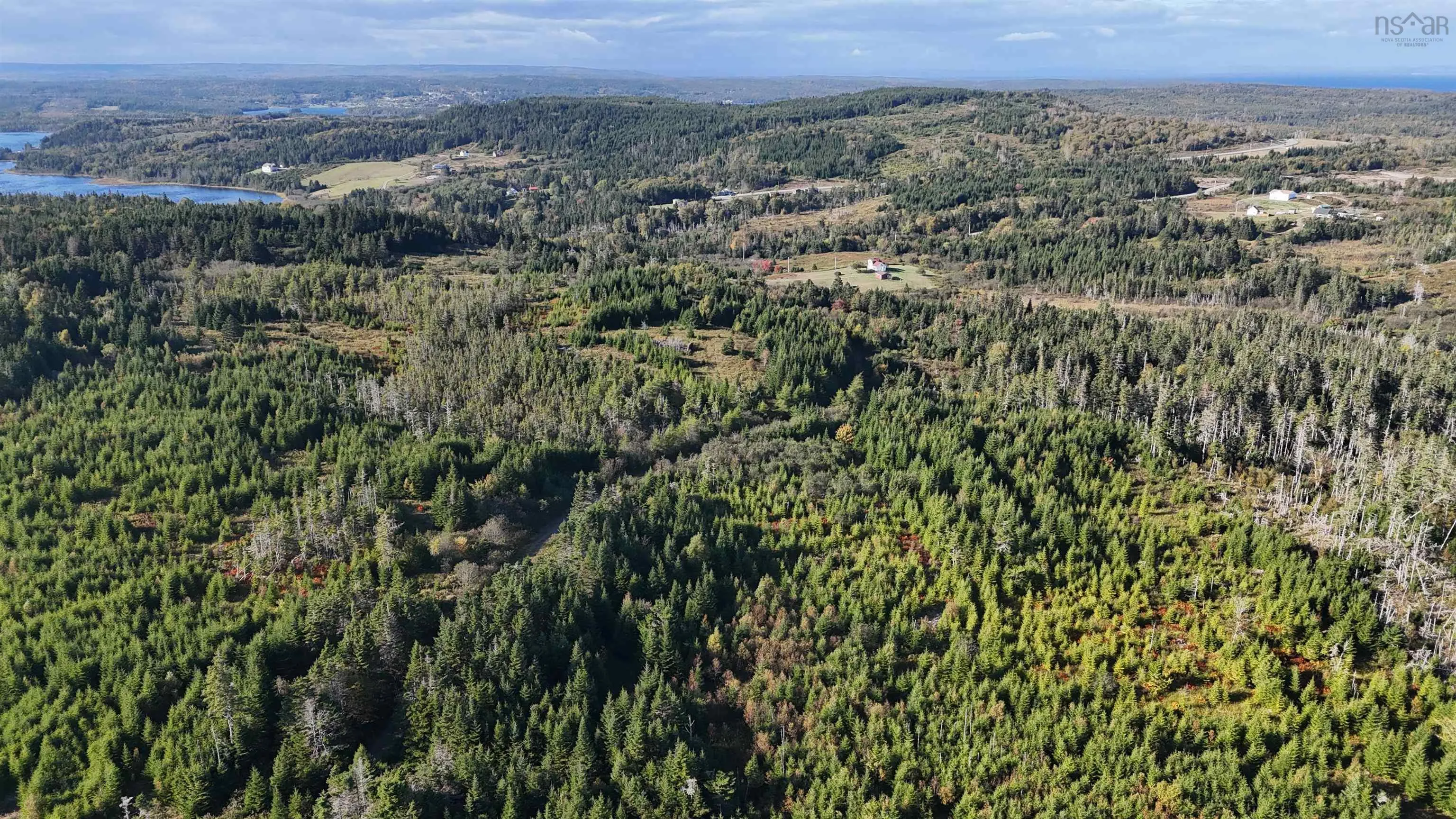 Lynches River Road, St. Peters, NS B0E 3B0, ,Land,For Sale,Lynches River,202518862