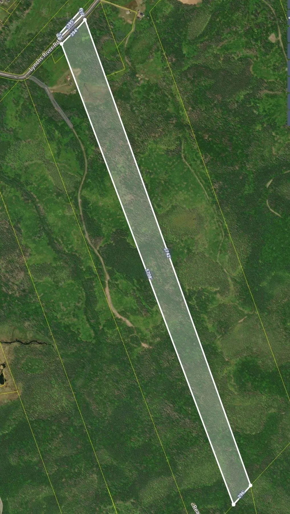 Lynches River Road, St. Peters, NS B0E 3B0, ,Land,For Sale,Lynches River,202518862