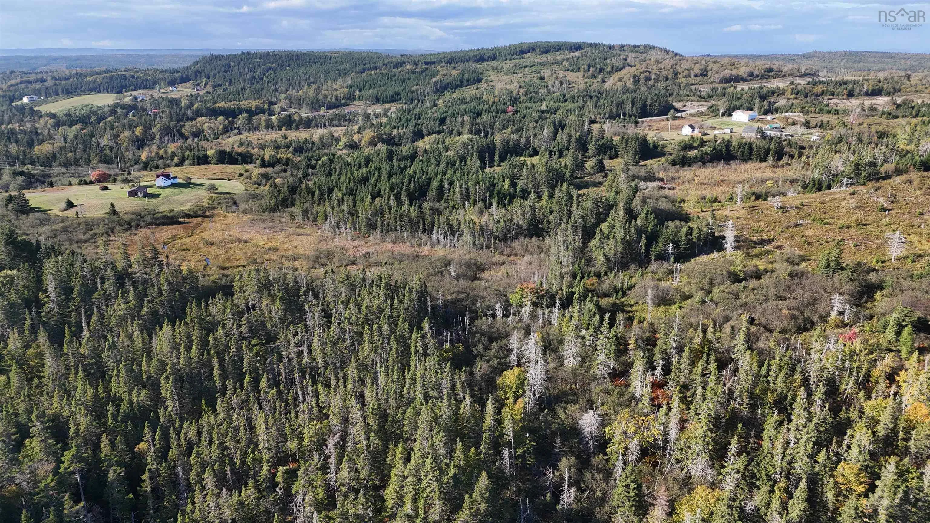 Lynches River Road, St. Peters, NS B0E 3B0, ,Land,For Sale,Lynches River,202518862