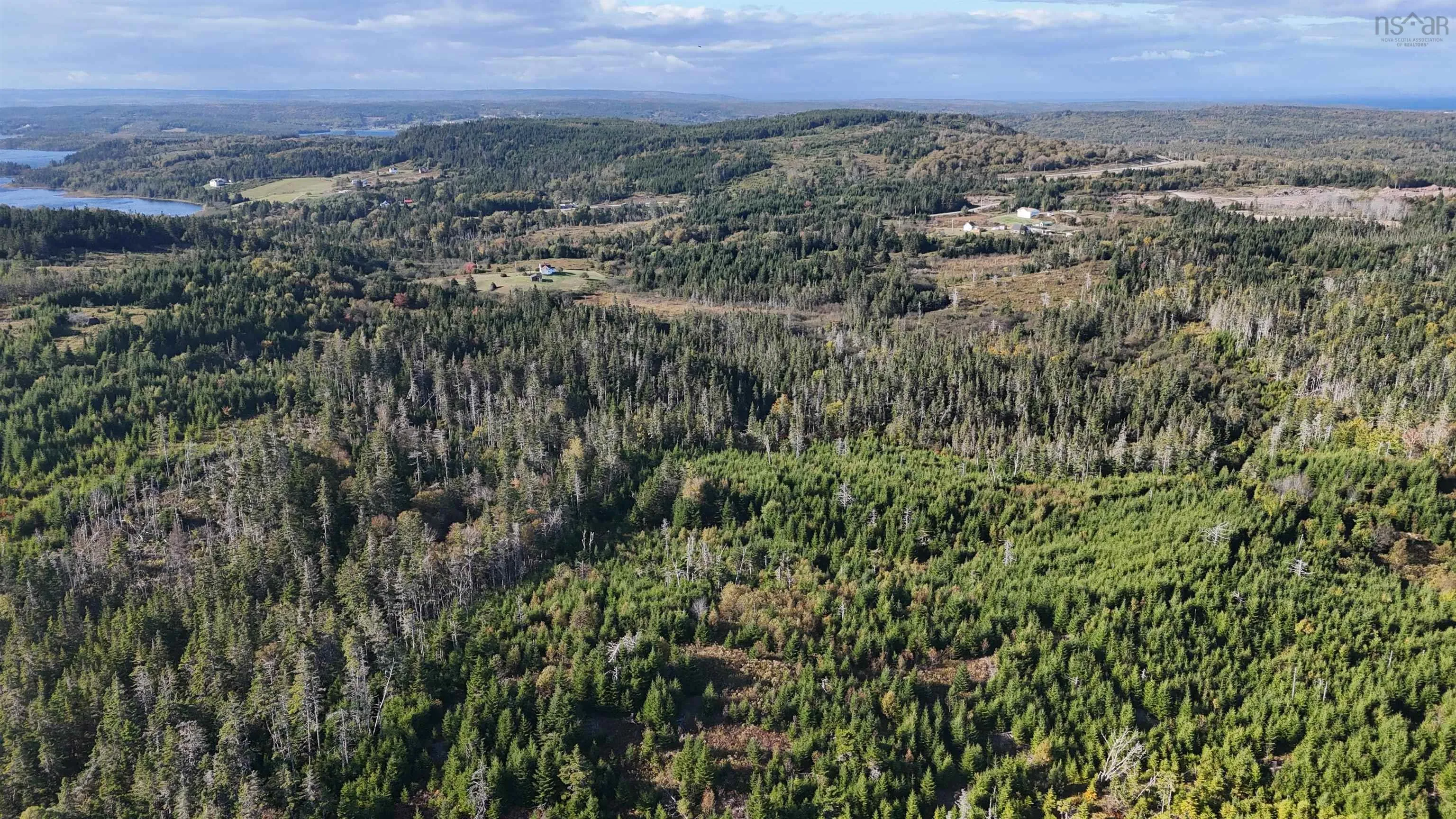 Lynches River Road, St. Peters, NS B0E 3B0, ,Land,For Sale,Lynches River,202518862