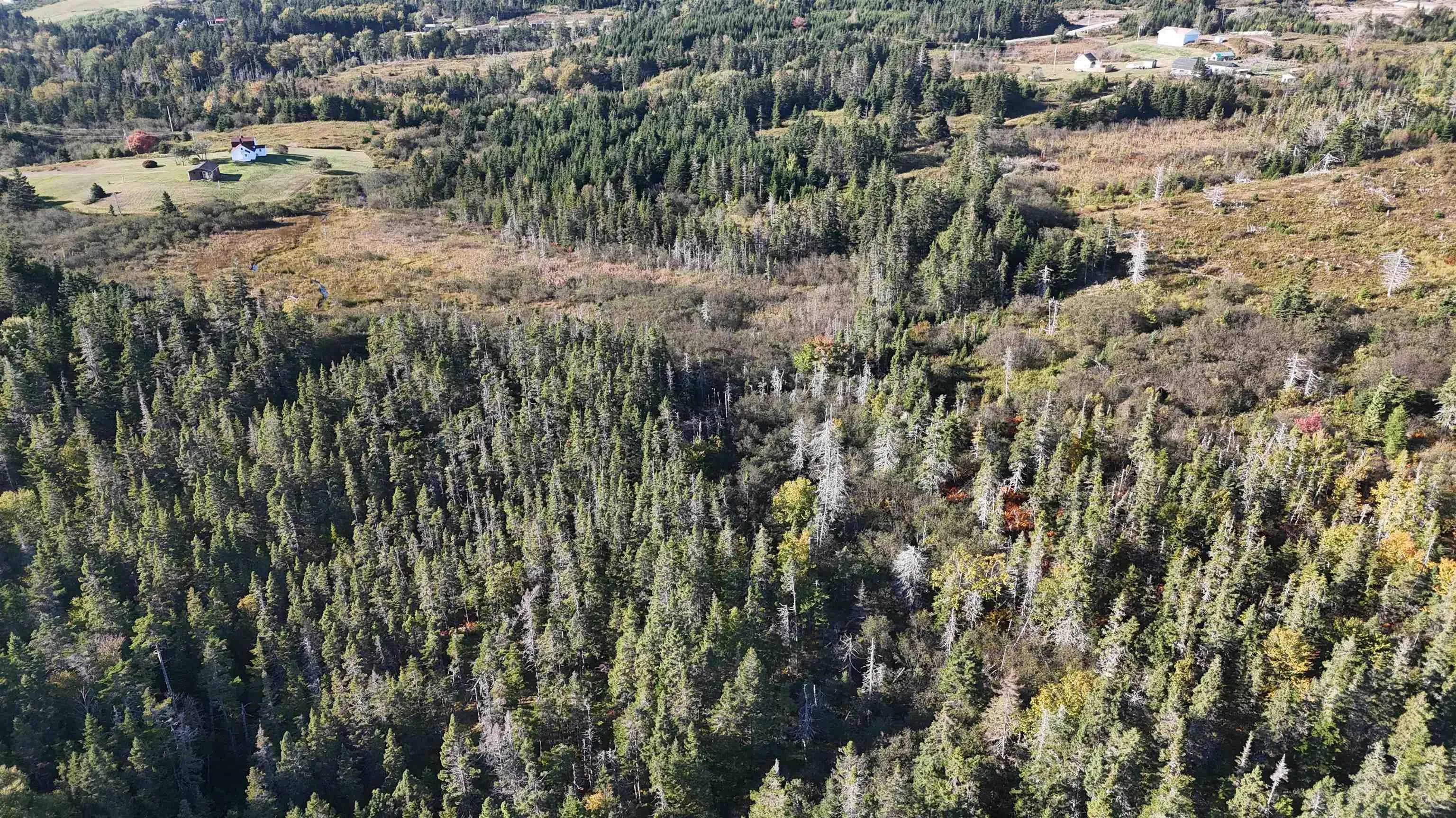 Lynches River Road, St. Peters, NS B0E 3B0, ,Land,For Sale,Lynches River,202518862