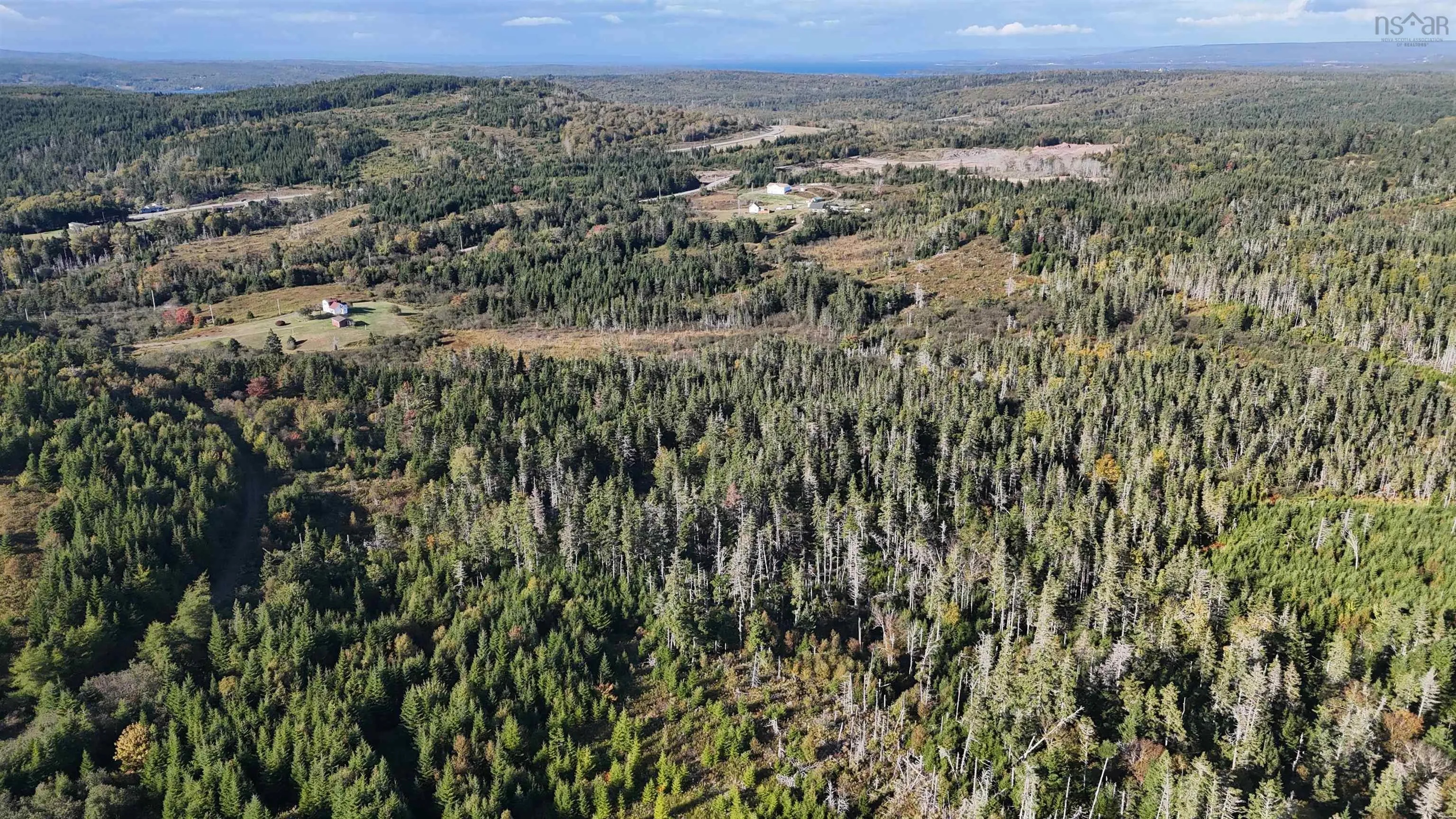 Lynches River Road, St. Peters, NS B0E 3B0, ,Land,For Sale,Lynches River,202518862