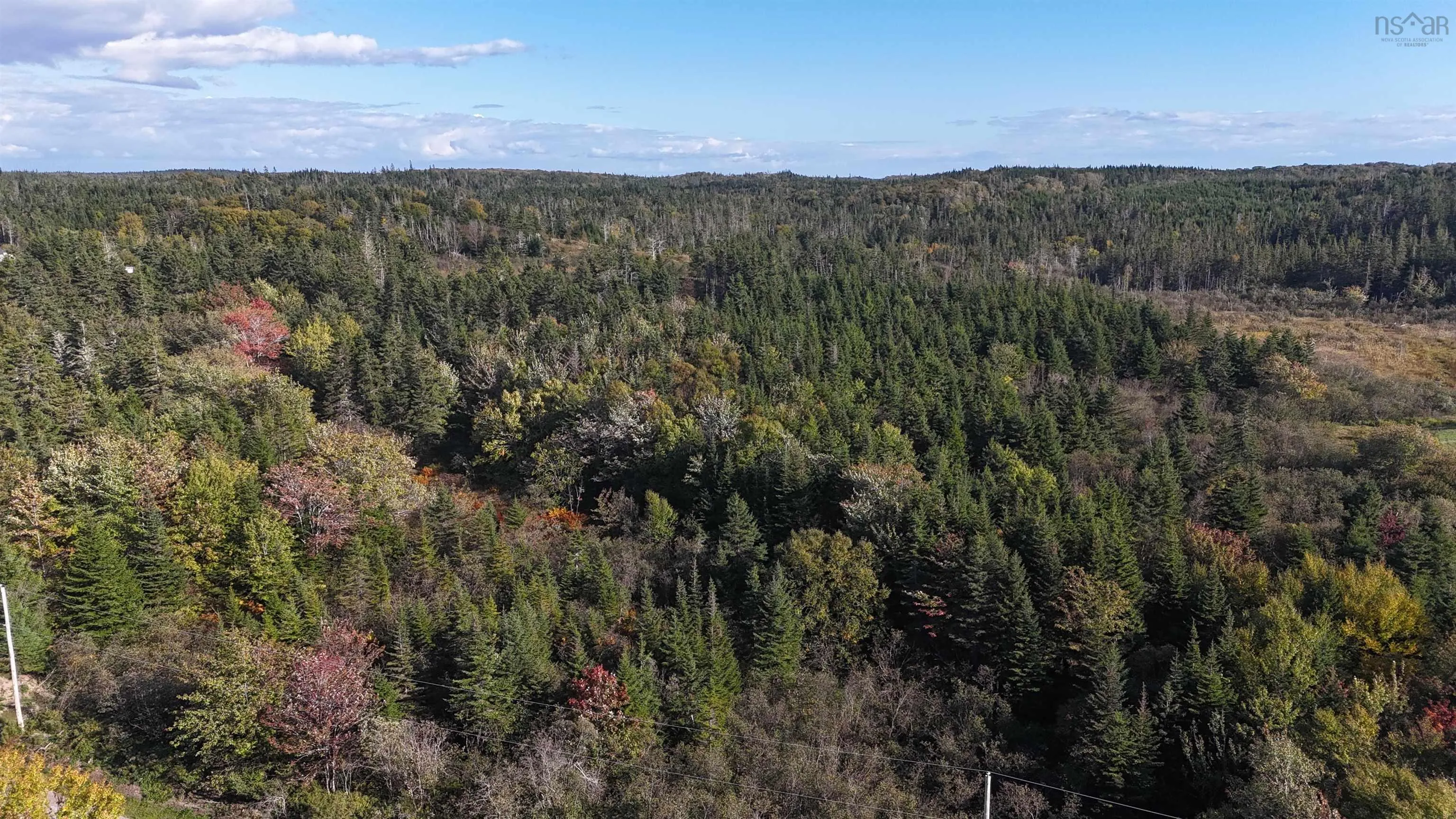 Lynches River Road, St. Peters, NS B0E 3B0, ,Land,For Sale,Lynches River,202518862