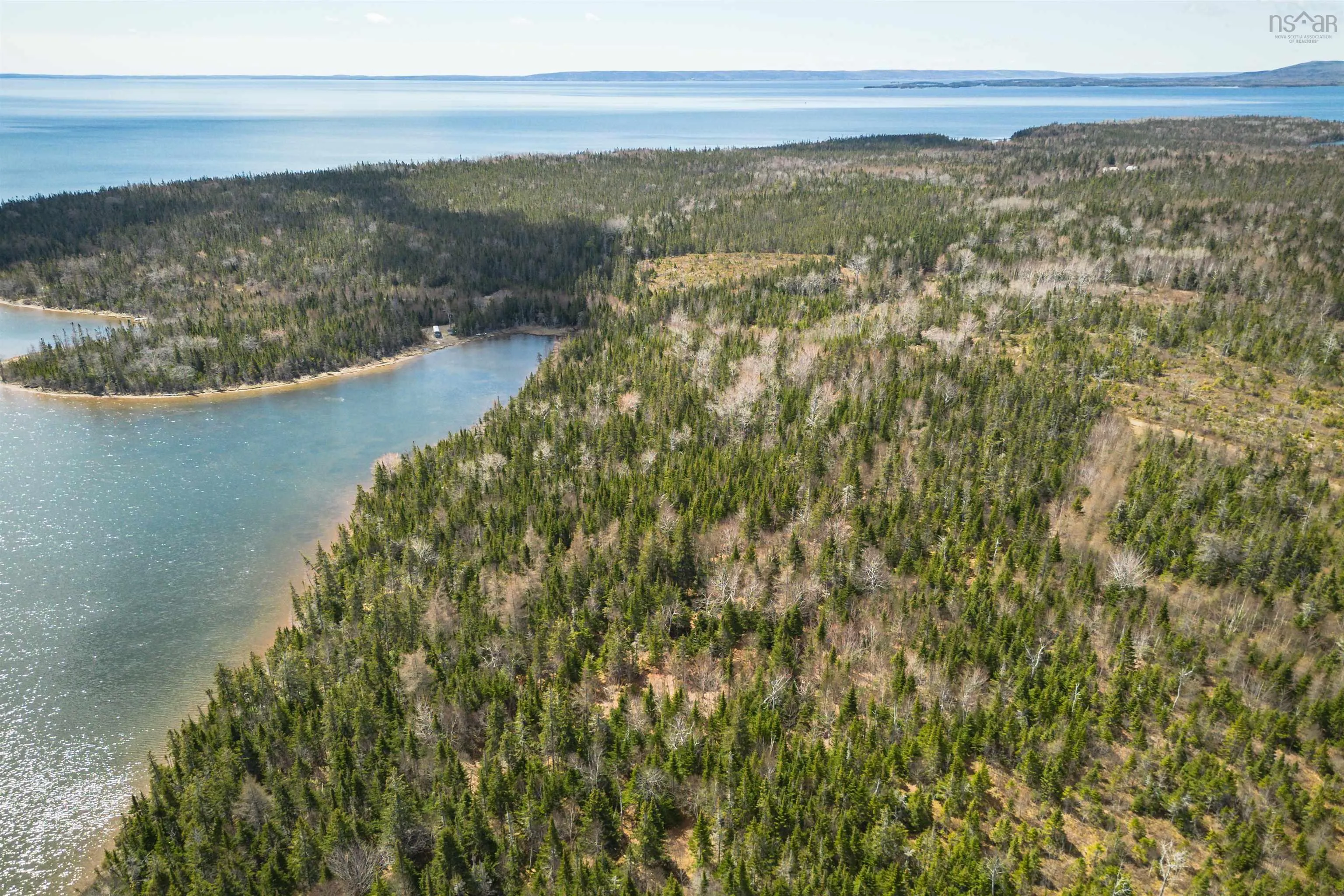 Red Point East Road, Red Point, NS B2C 1N7, ,Land,For Sale,Red Point East,202518752