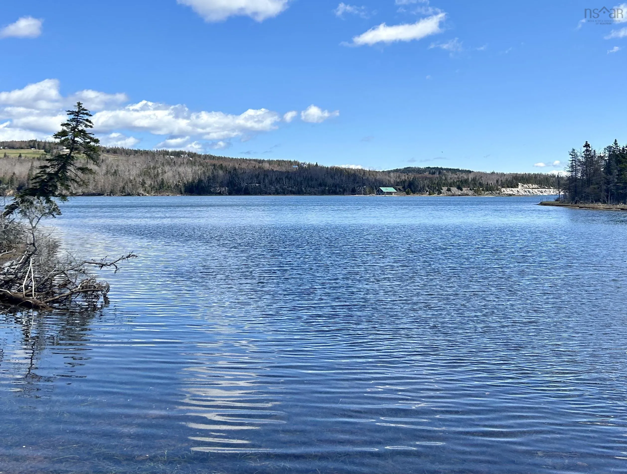 Red Point East Road, Red Point, NS B2C 1N7, ,Land,For Sale,Red Point East,202518752