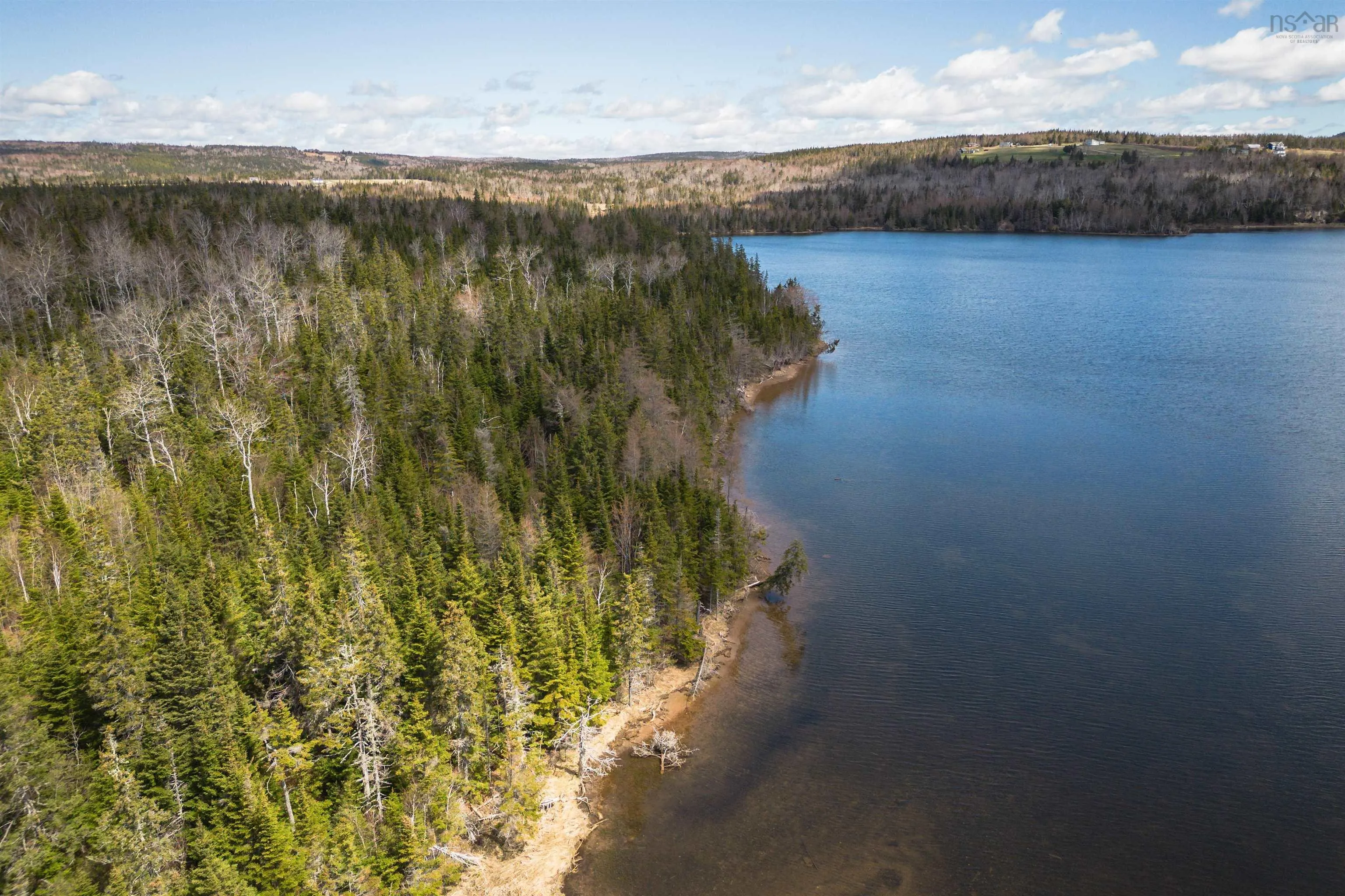 Red Point East Road, Red Point, NS B2C 1N7, ,Land,For Sale,Red Point East,202518752