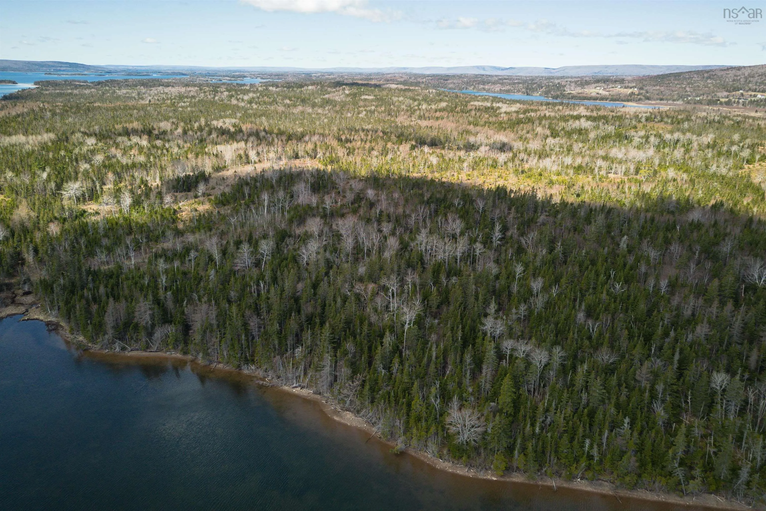 Red Point East Road, Red Point, NS B2C 1N7, ,Land,For Sale,Red Point East,202518752