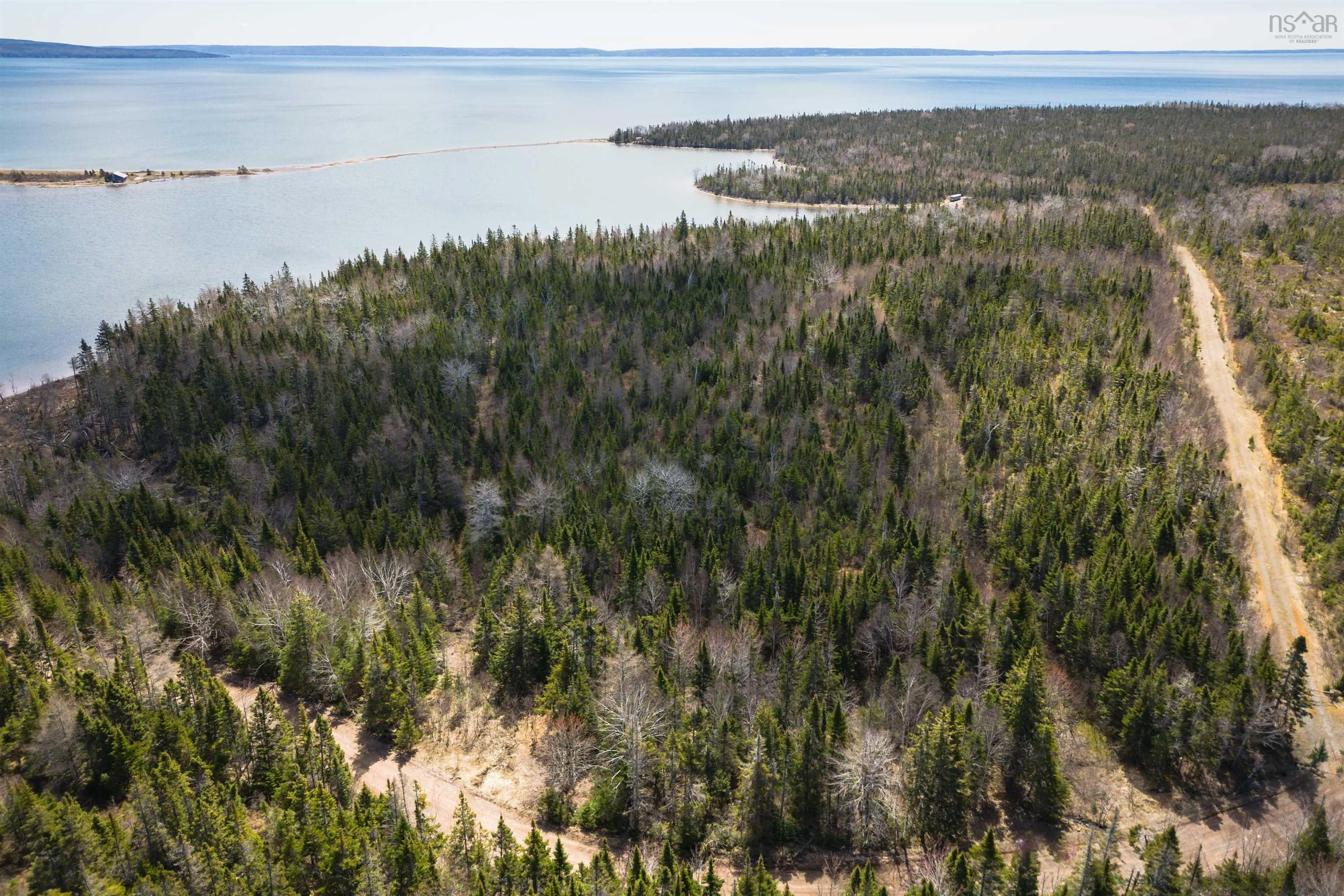 Red Point East Road, Red Point, NS B2C 1N7, ,Land,For Sale,Red Point East,202518752