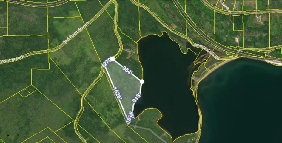 Red Point East Road, Red Point, NS B2C 1N7, ,Land,For Sale,Red Point East,202518752