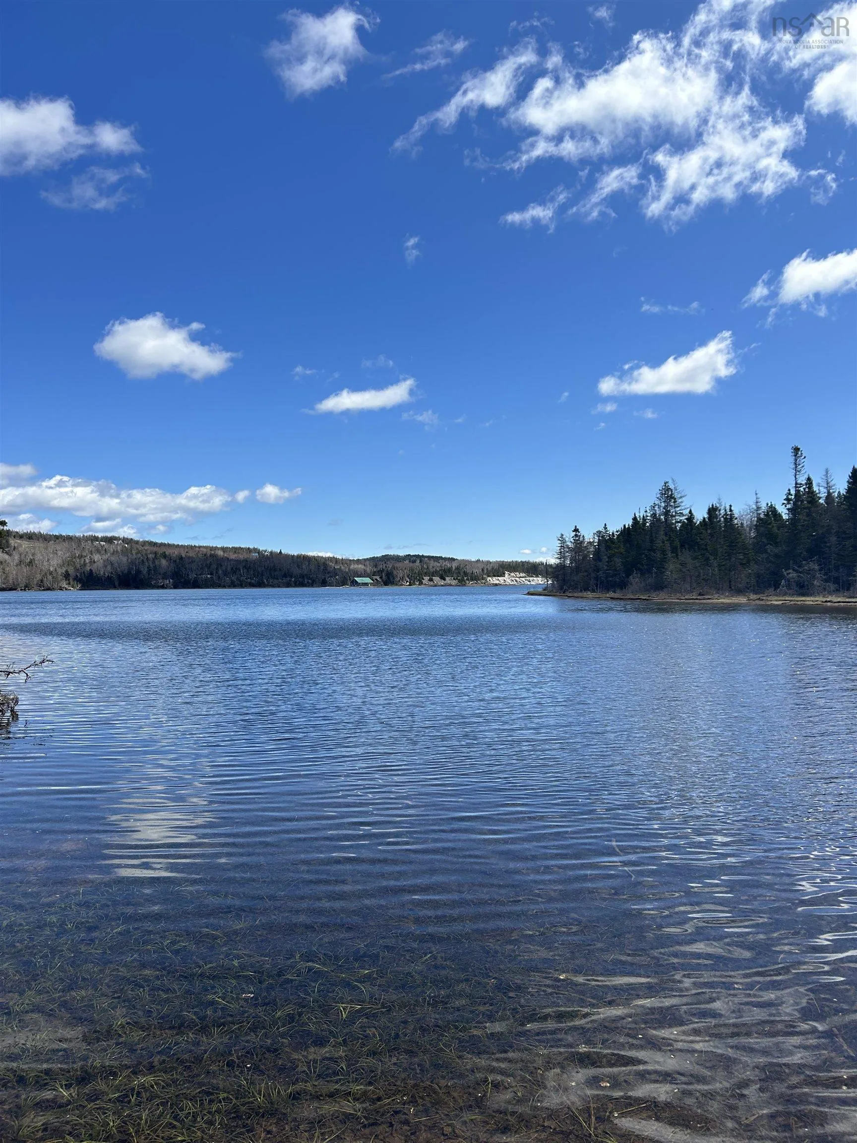 Red Point East Road, Red Point, NS B2C 1N7, ,Land,For Sale,Red Point East,202518752