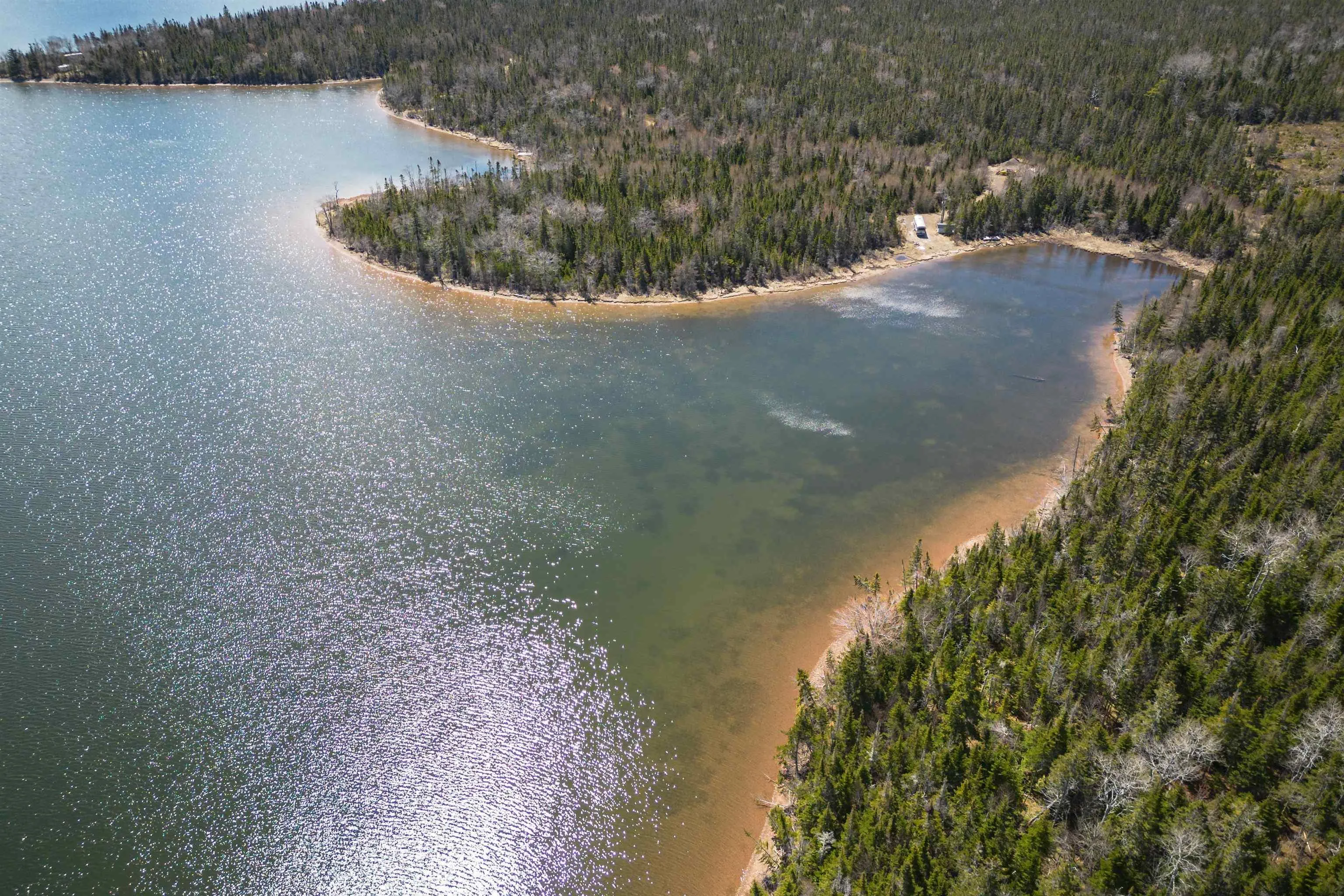 Red Point East Road, Red Point, NS B2C 1N7, ,Land,For Sale,Red Point East,202518752